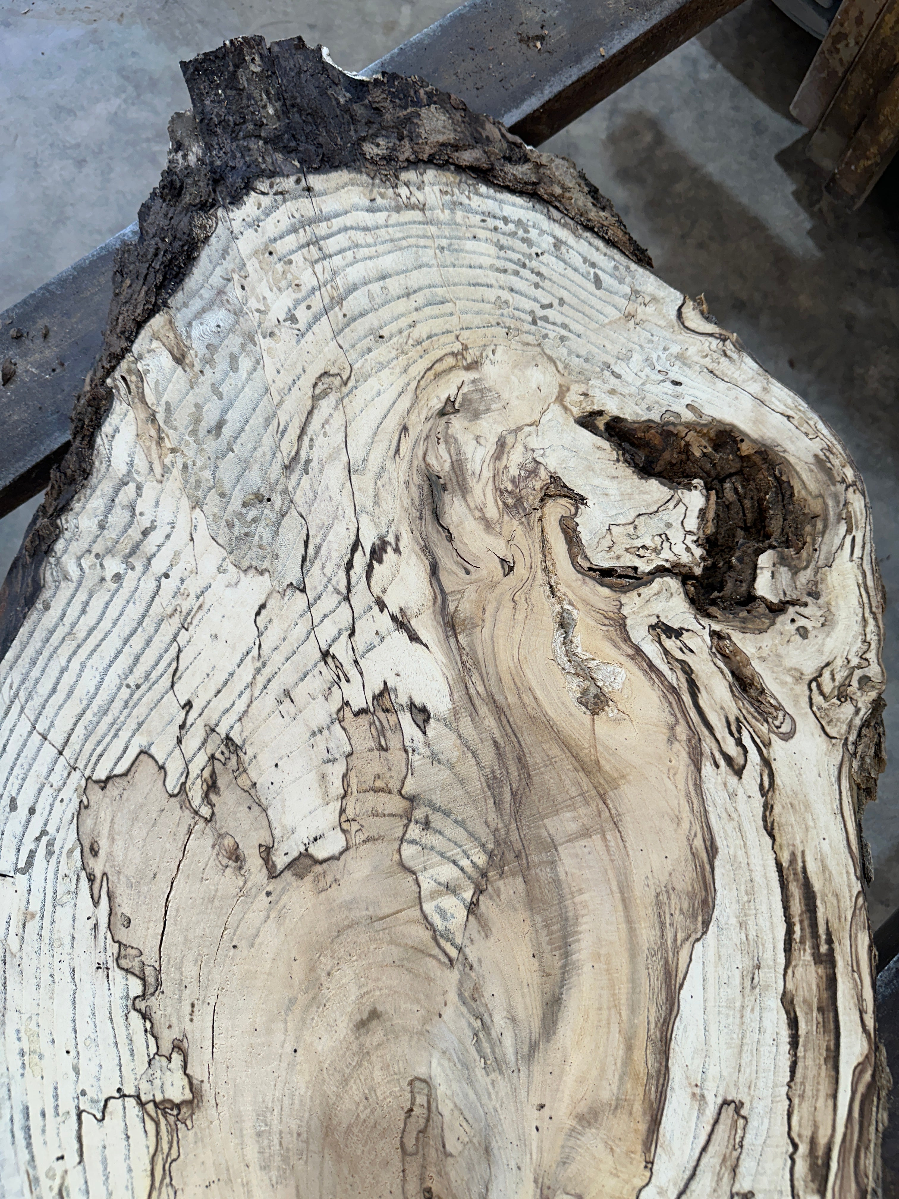 Spalted Hackberry Slab