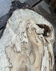 Spalted Hackberry Slab