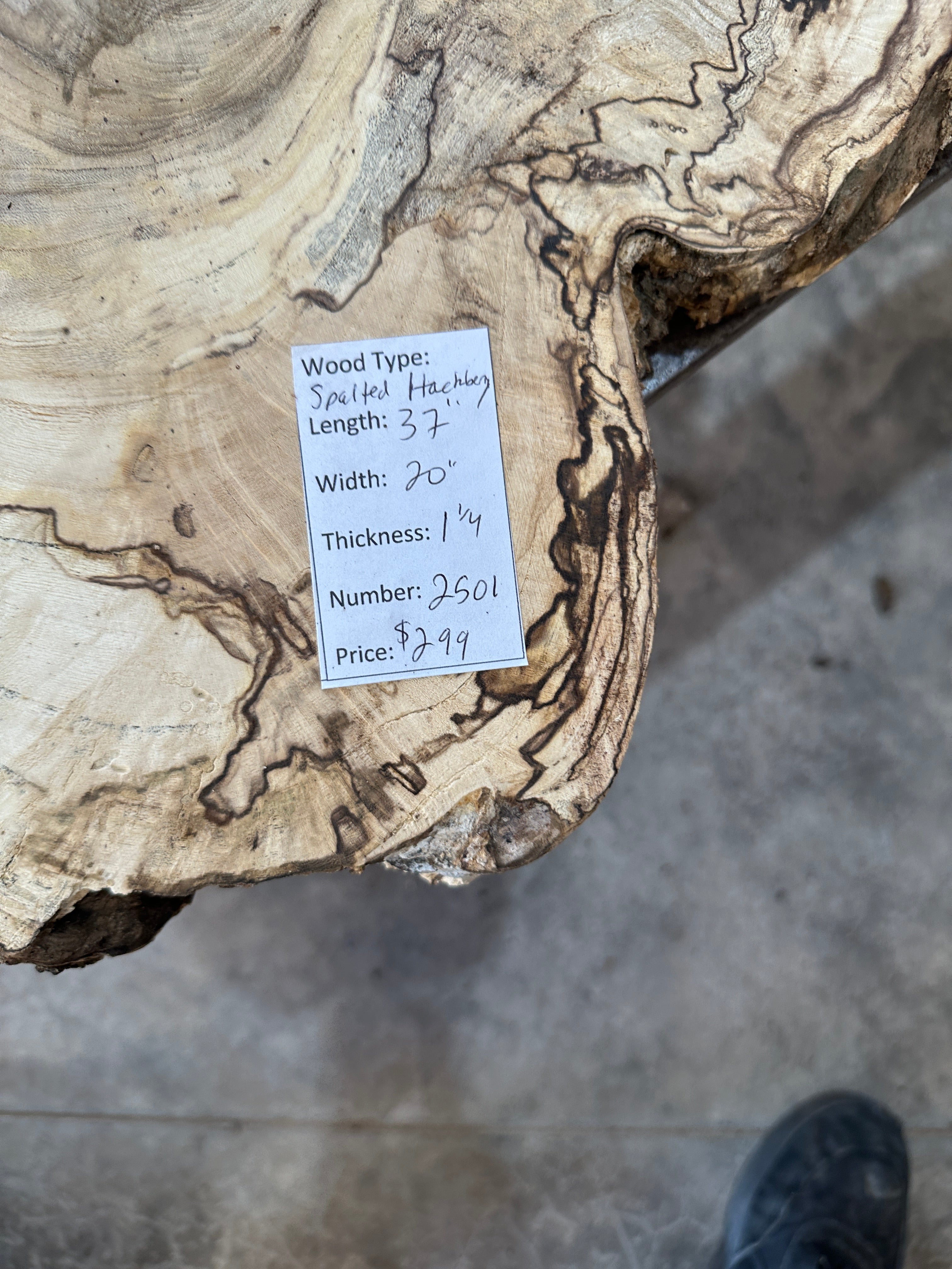 Spalted Hackberry Slab