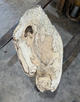 Spalted Hackberry Slab