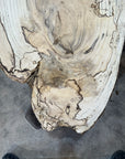 Spalted Hackberry Slab