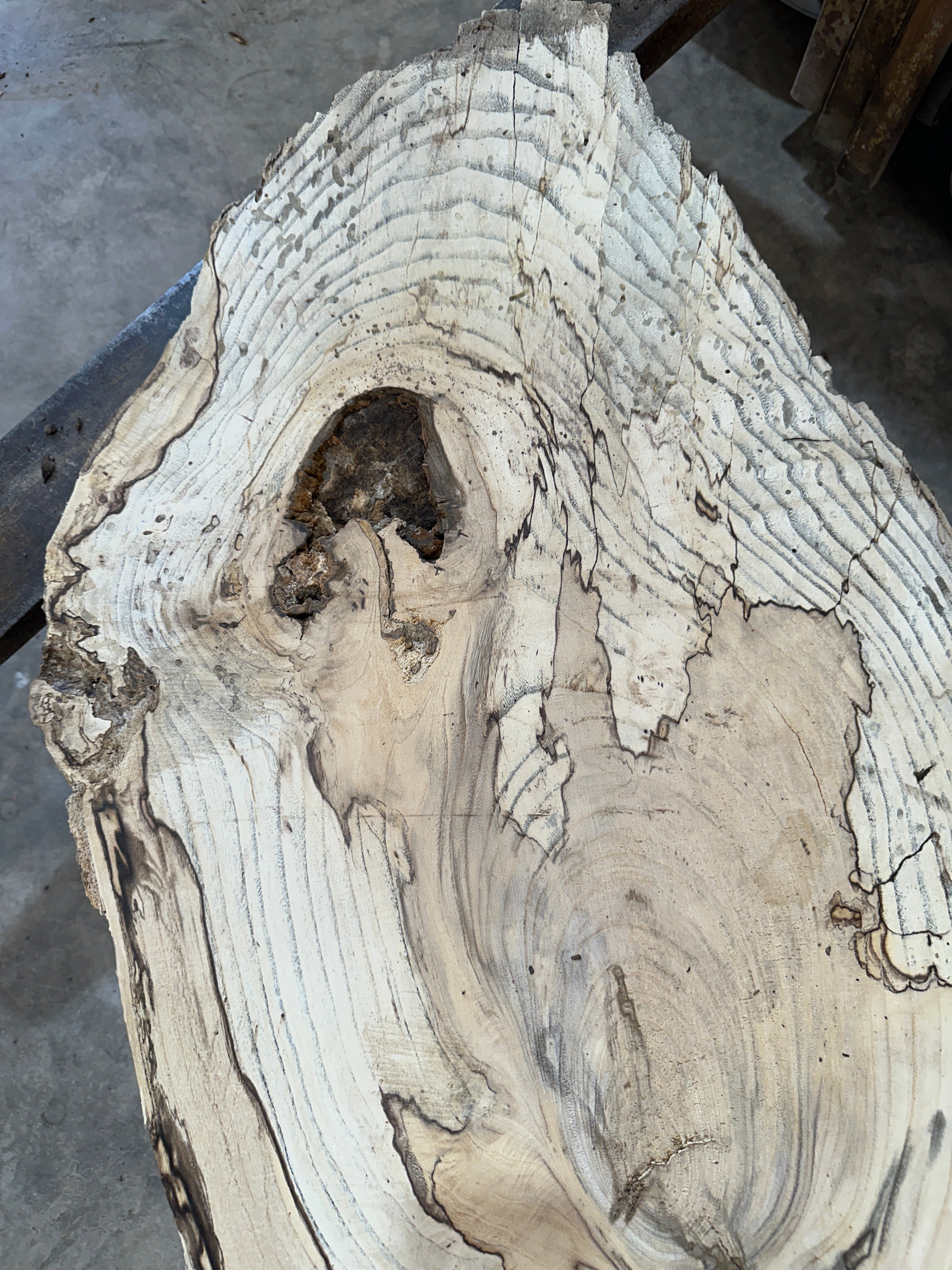 Spalted Hackberry Slab