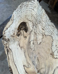 Spalted Hackberry Slab