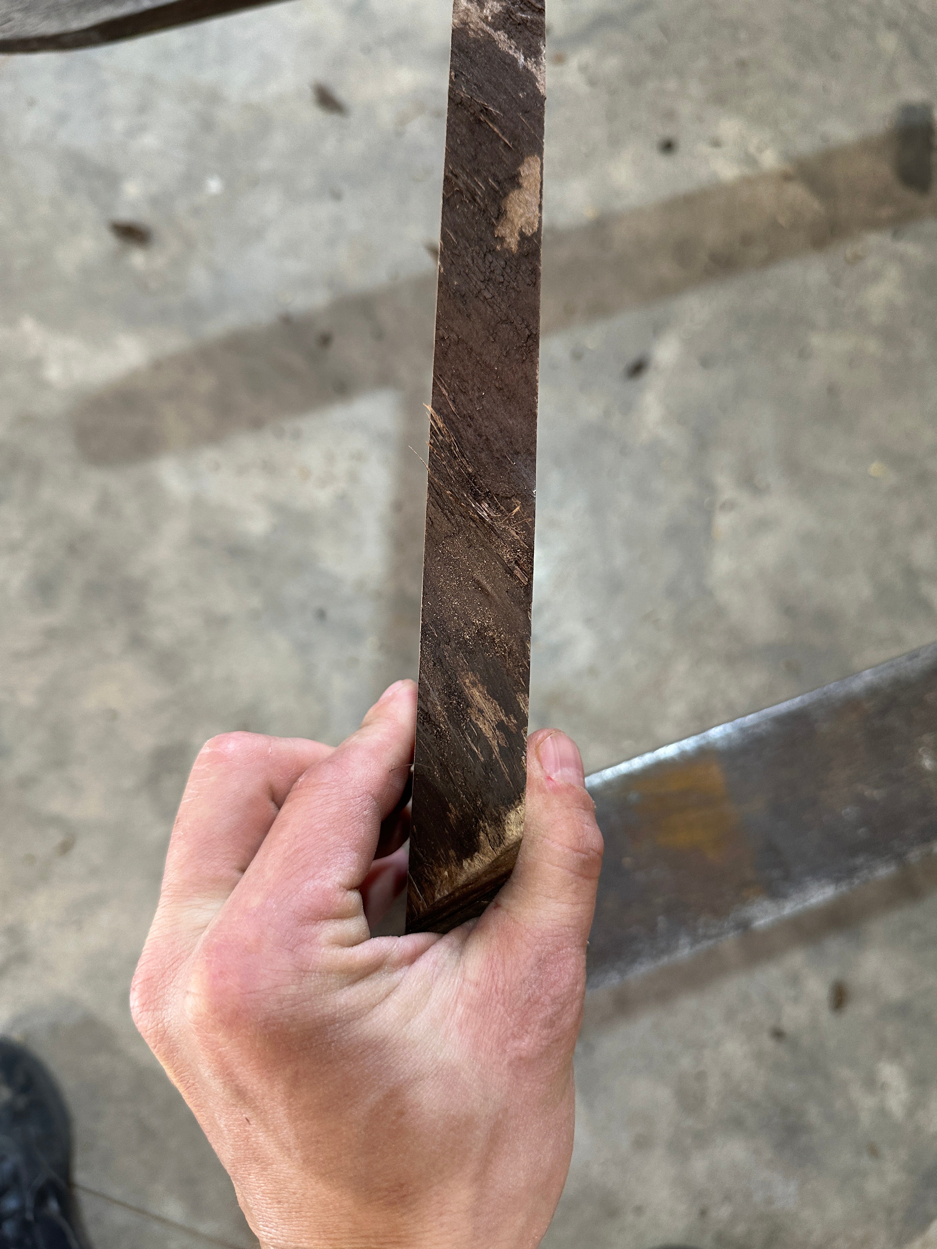 Black Walnut Cookie Slab