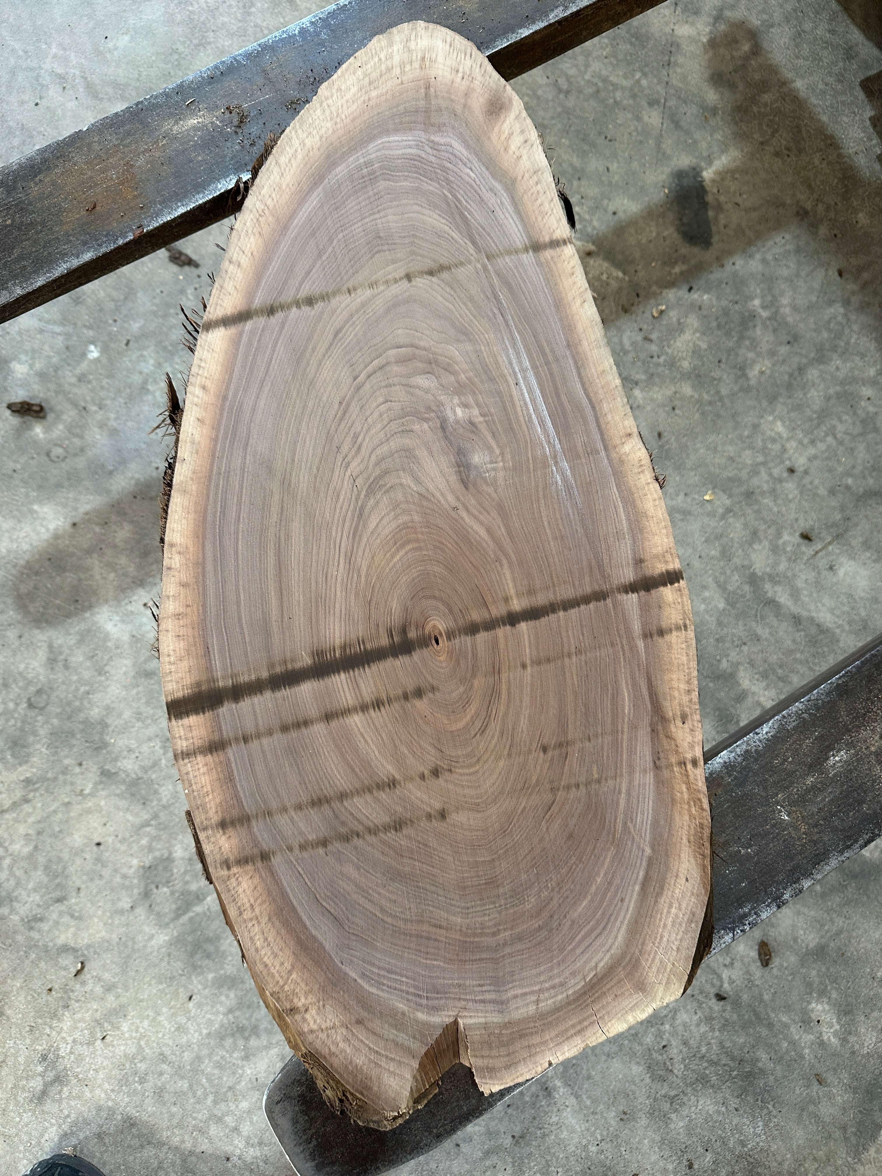 Black Walnut Cookie Slab