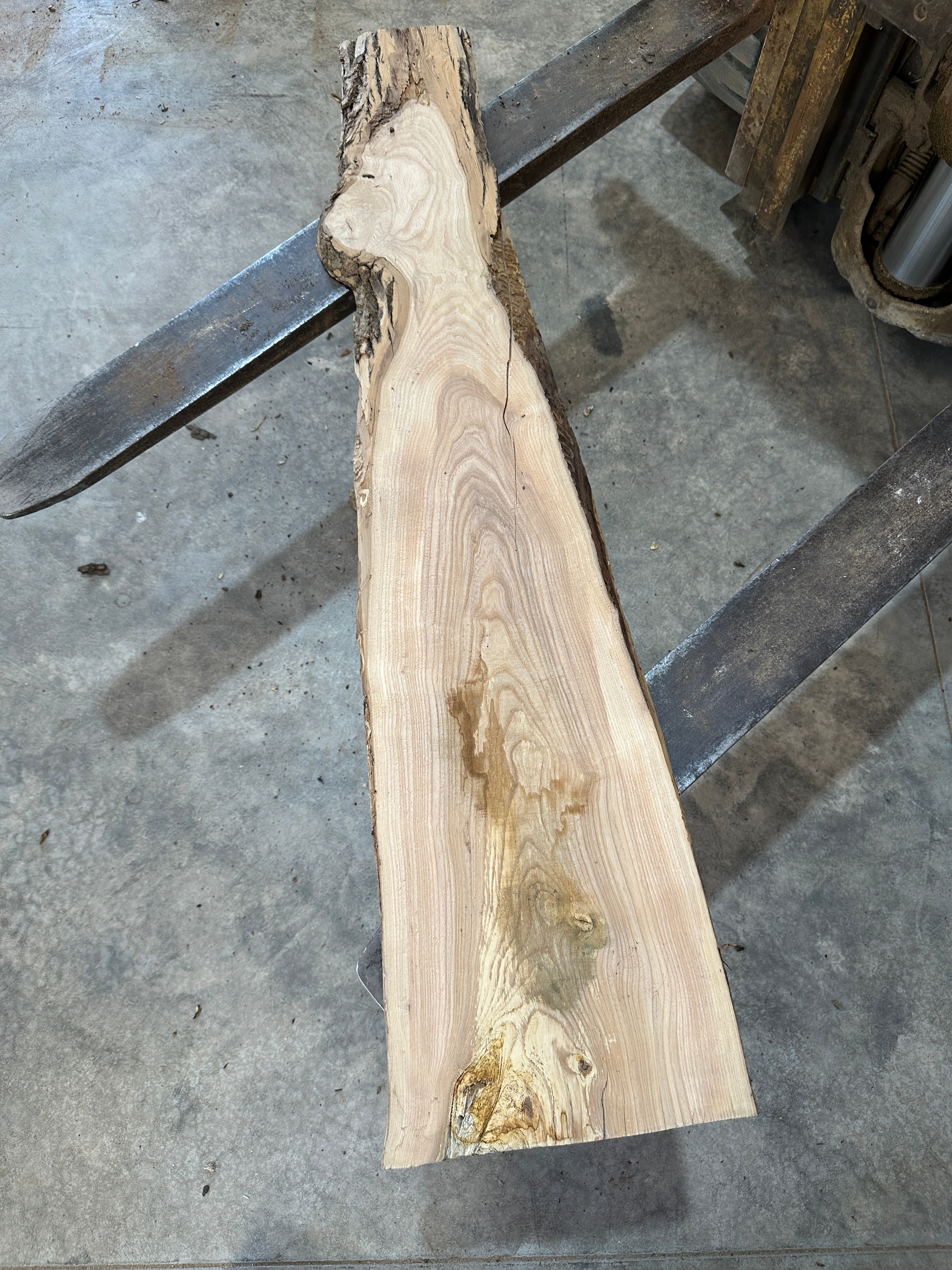 White Ash slab