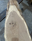 White Oak Slab