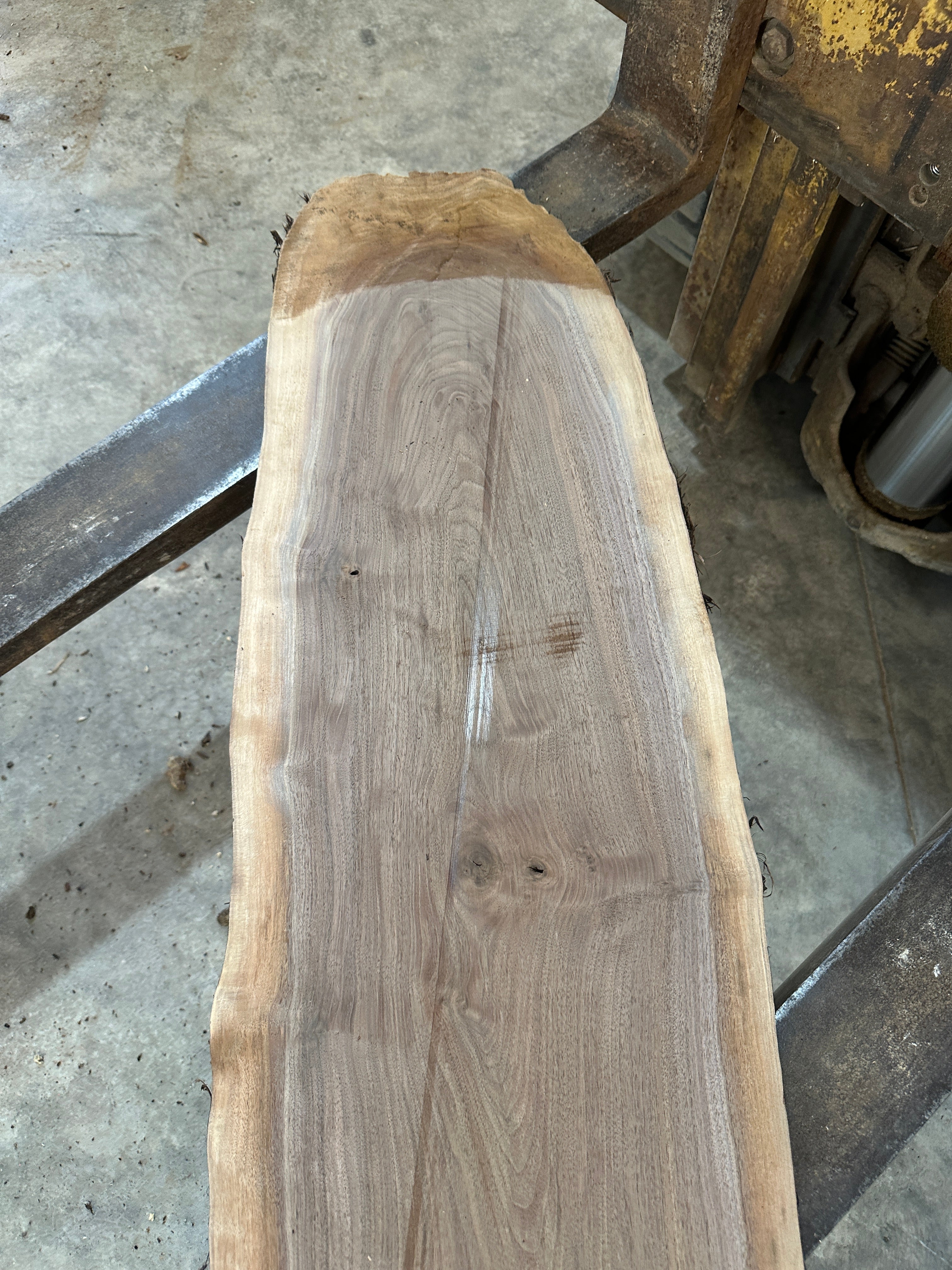 Black Walnut Slab