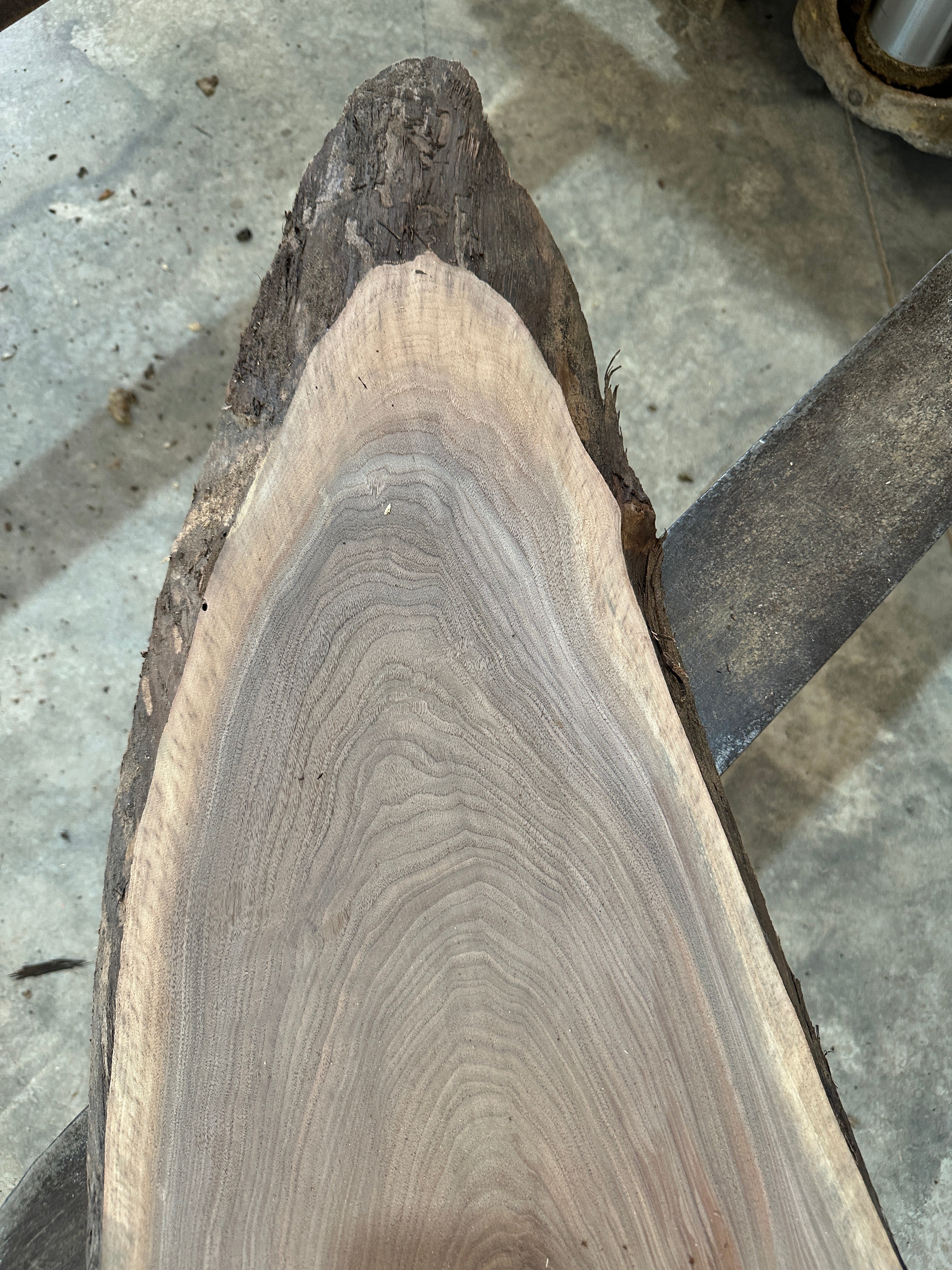 Black Walnut Slab