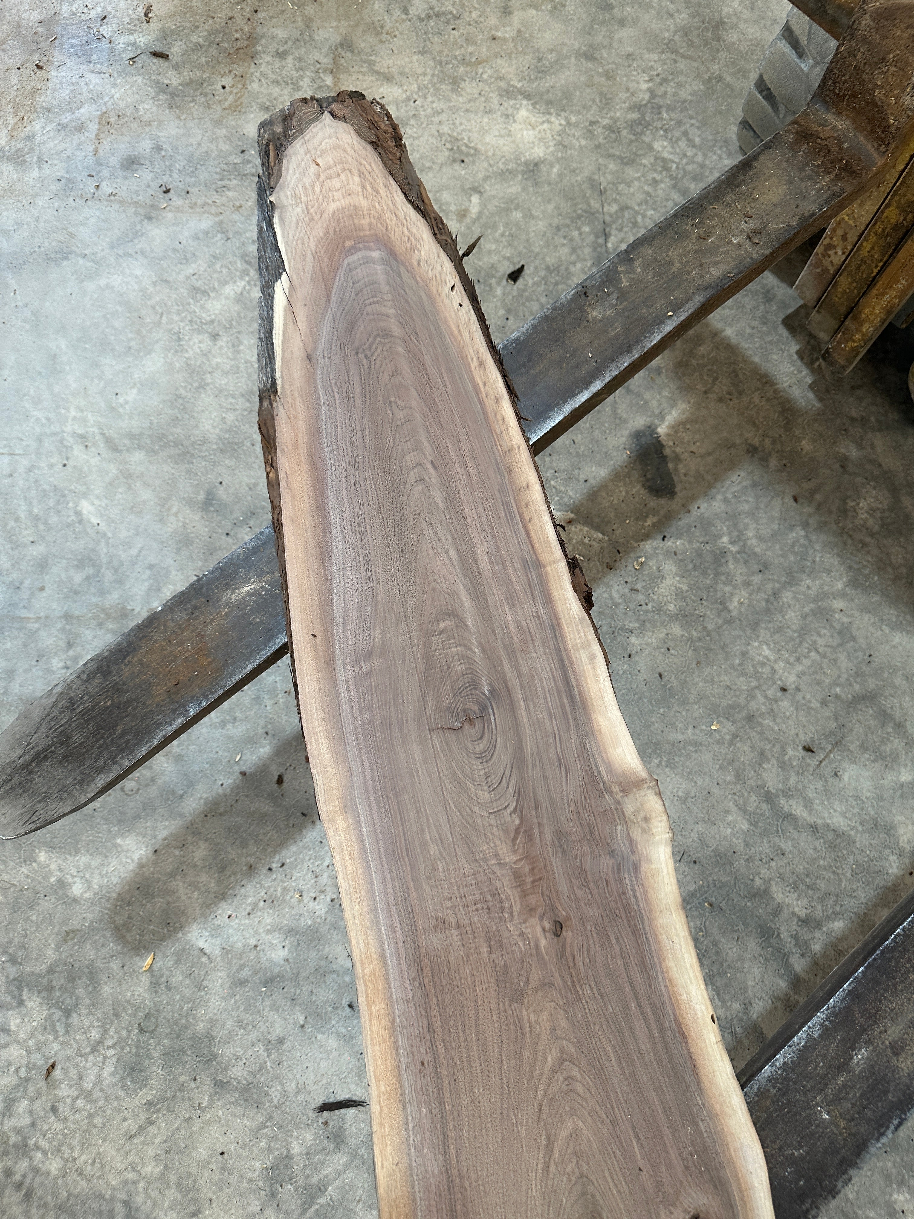Black Walnut Slab