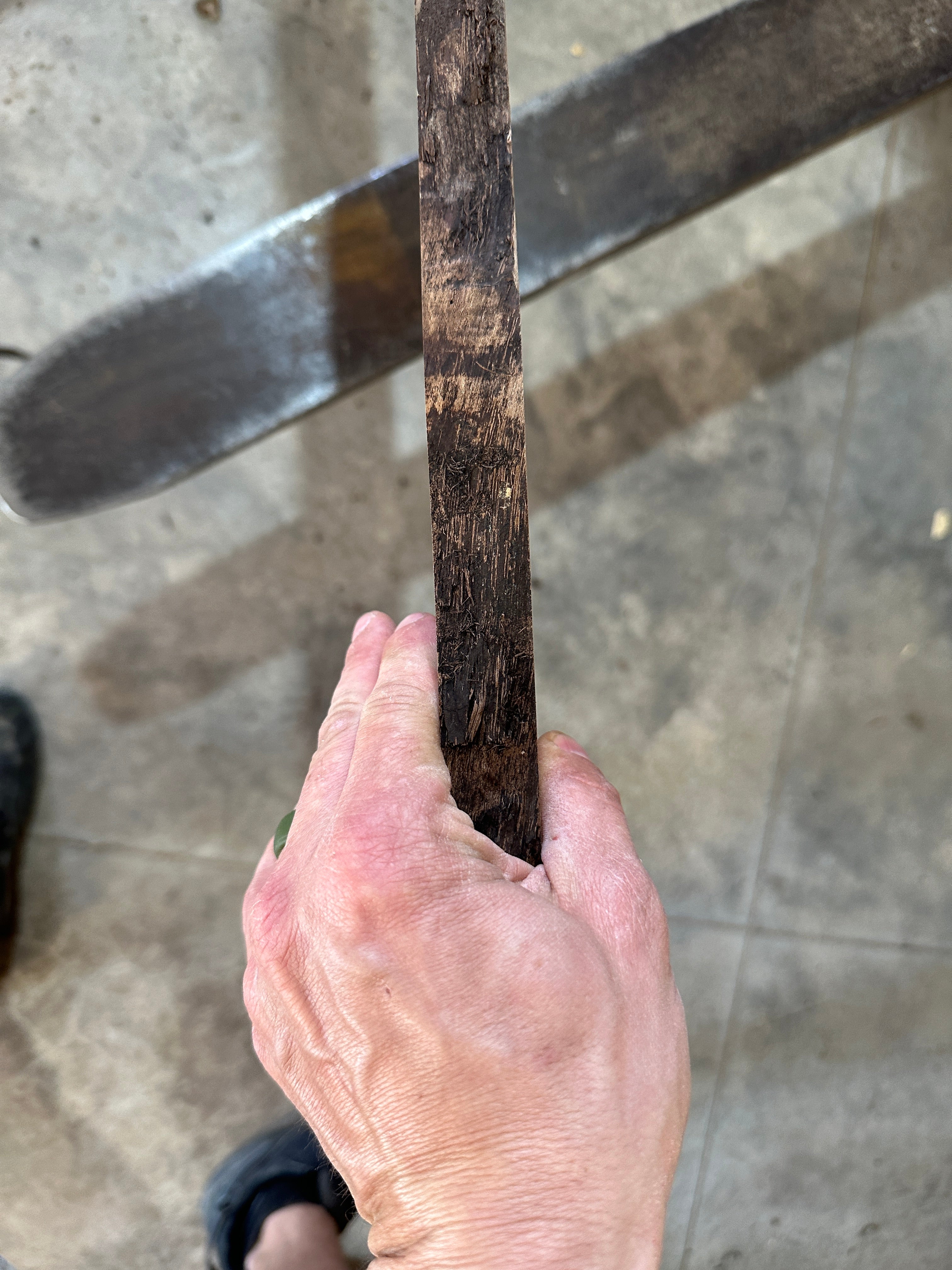Black Walnut Slab