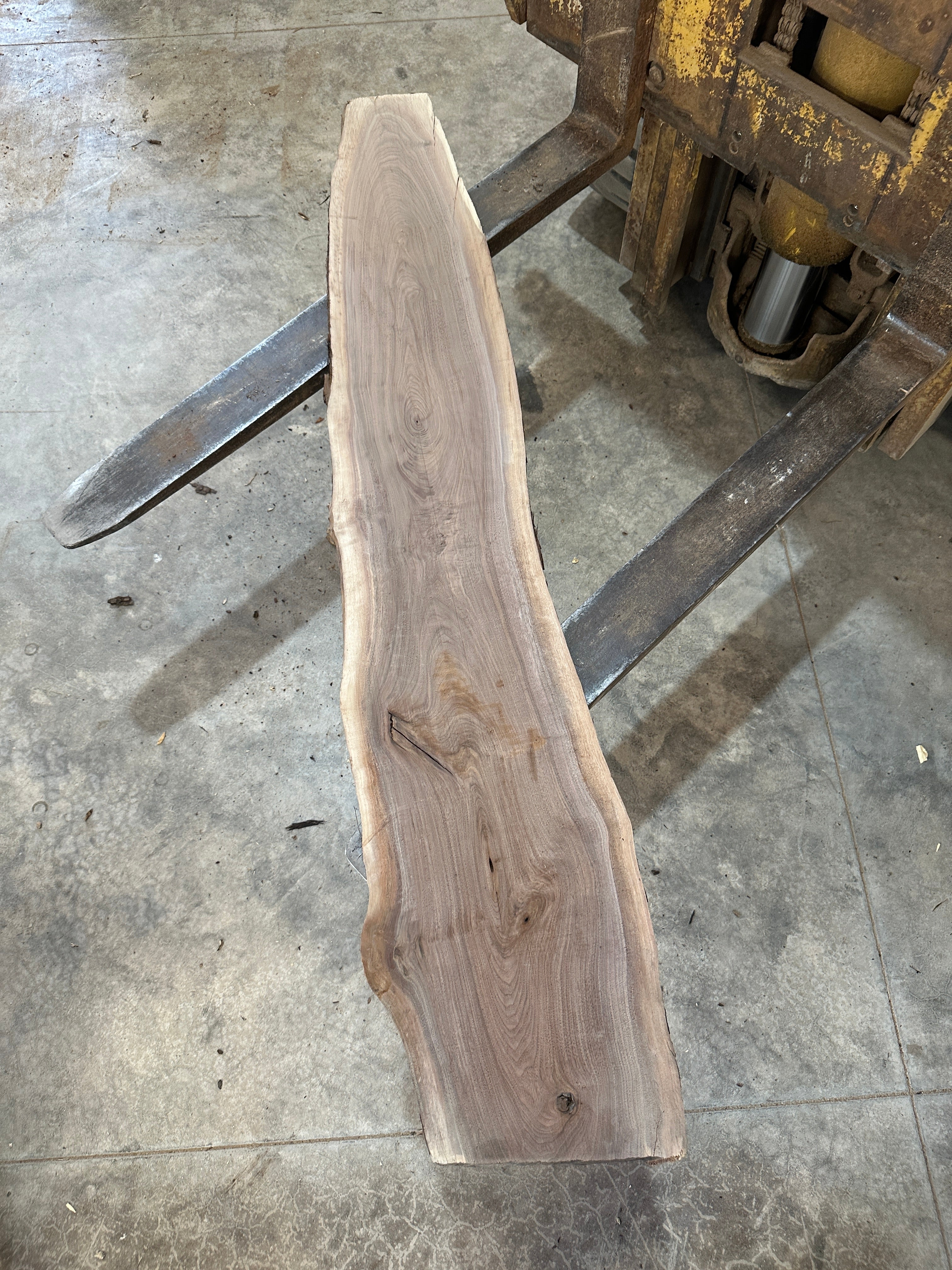 Black Walnut Slab
