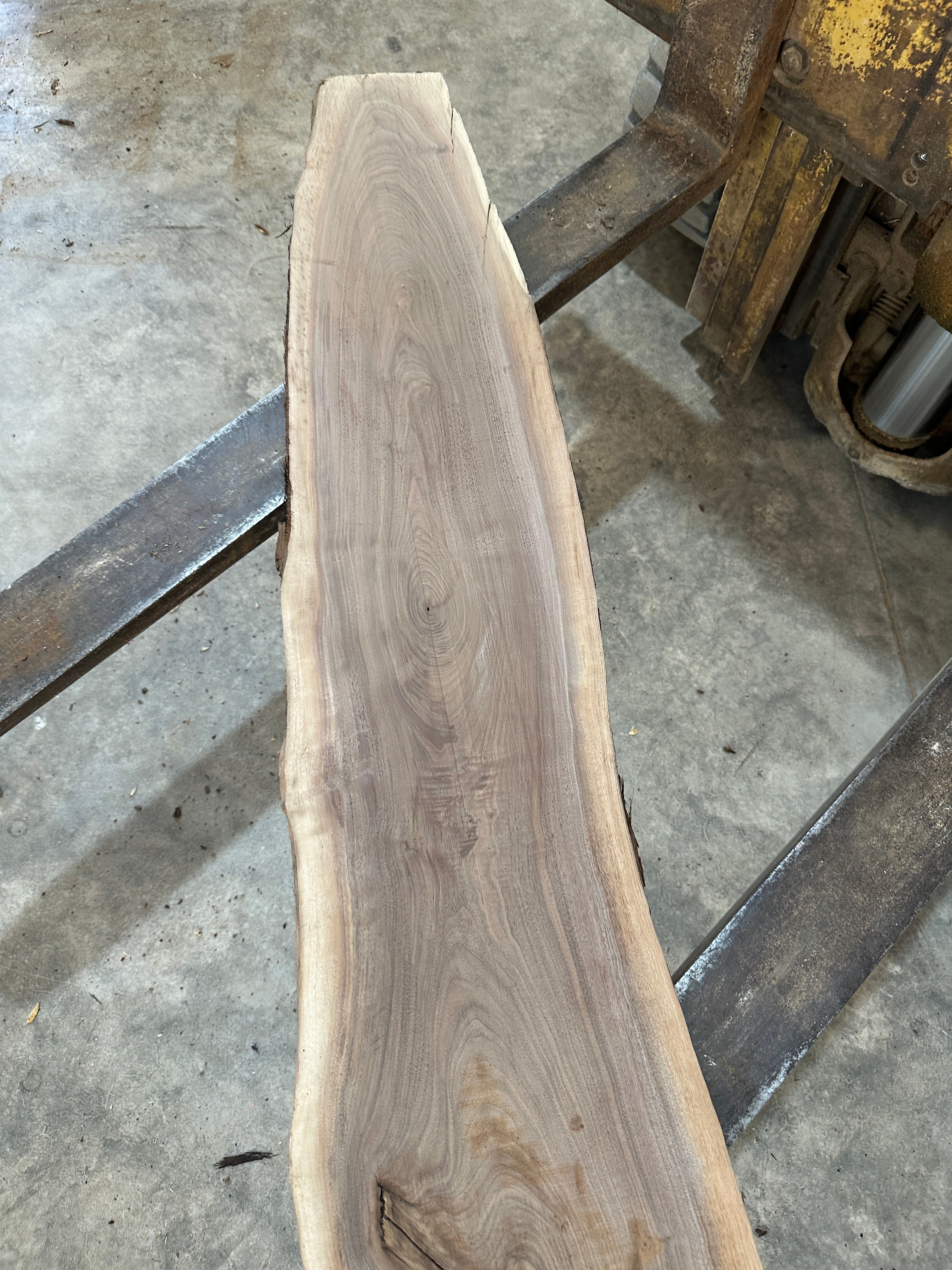 Black Walnut Slab