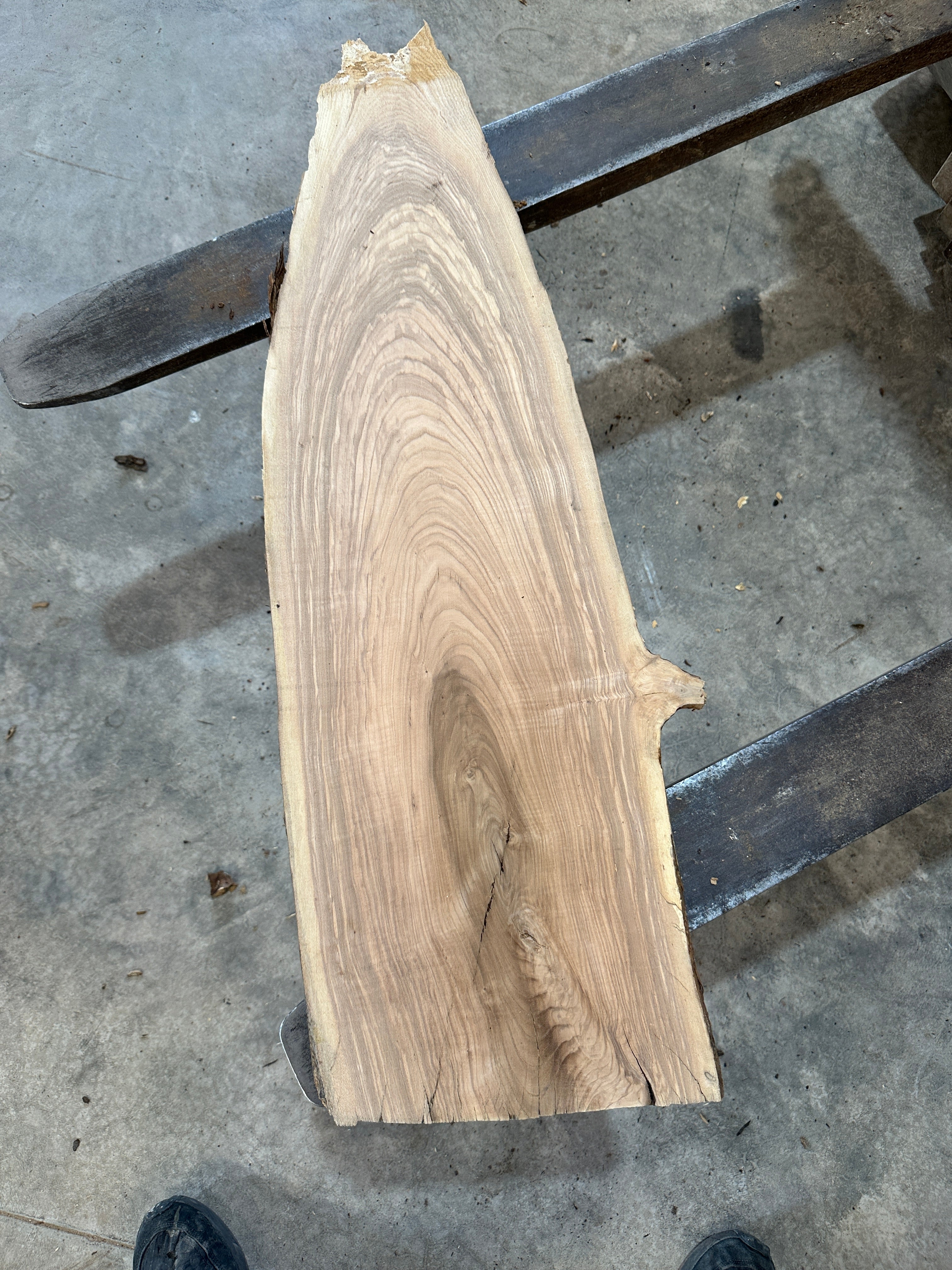 White Ash slab