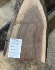 Black Walnut Slab