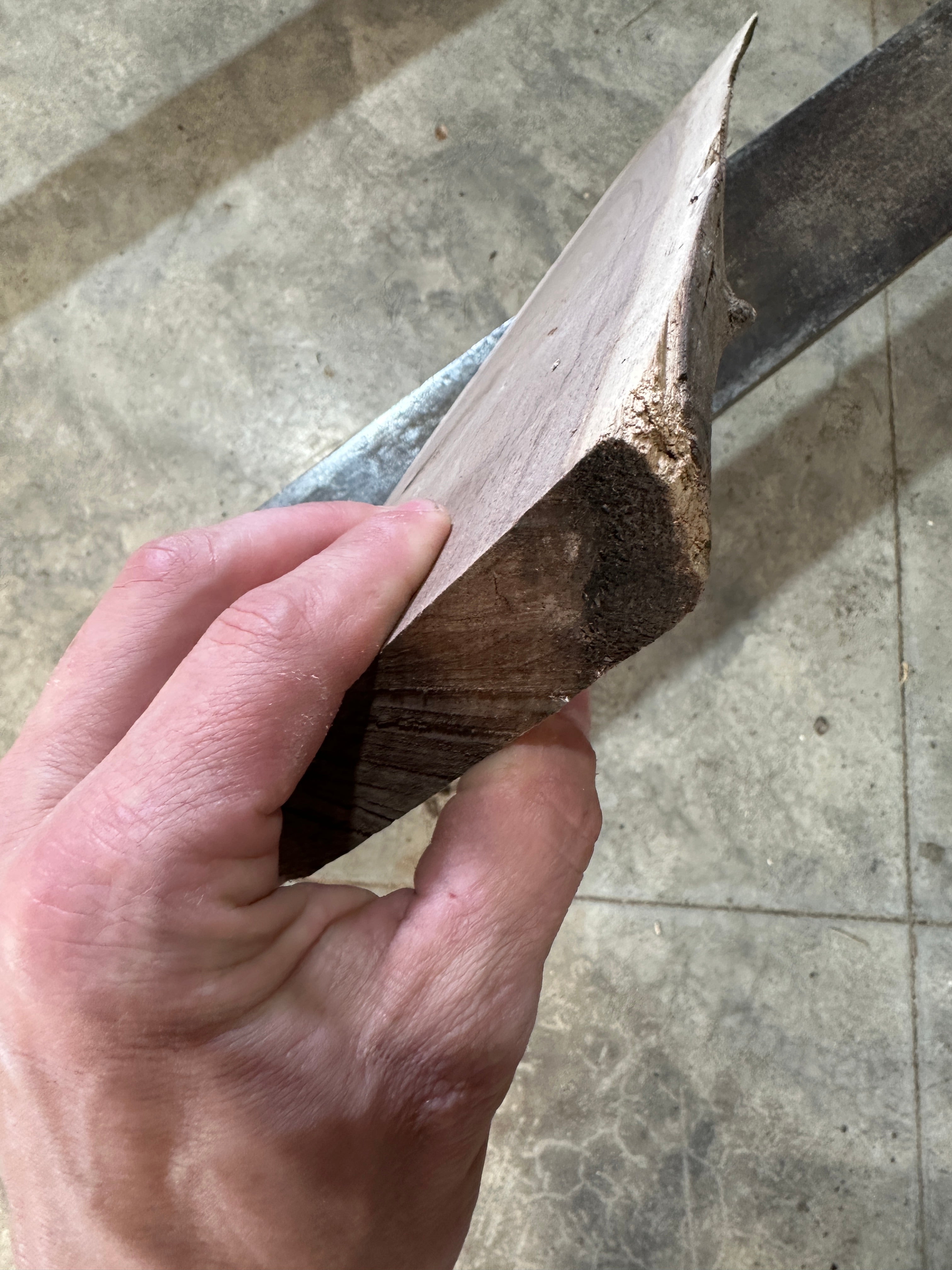 Black Walnut Slab