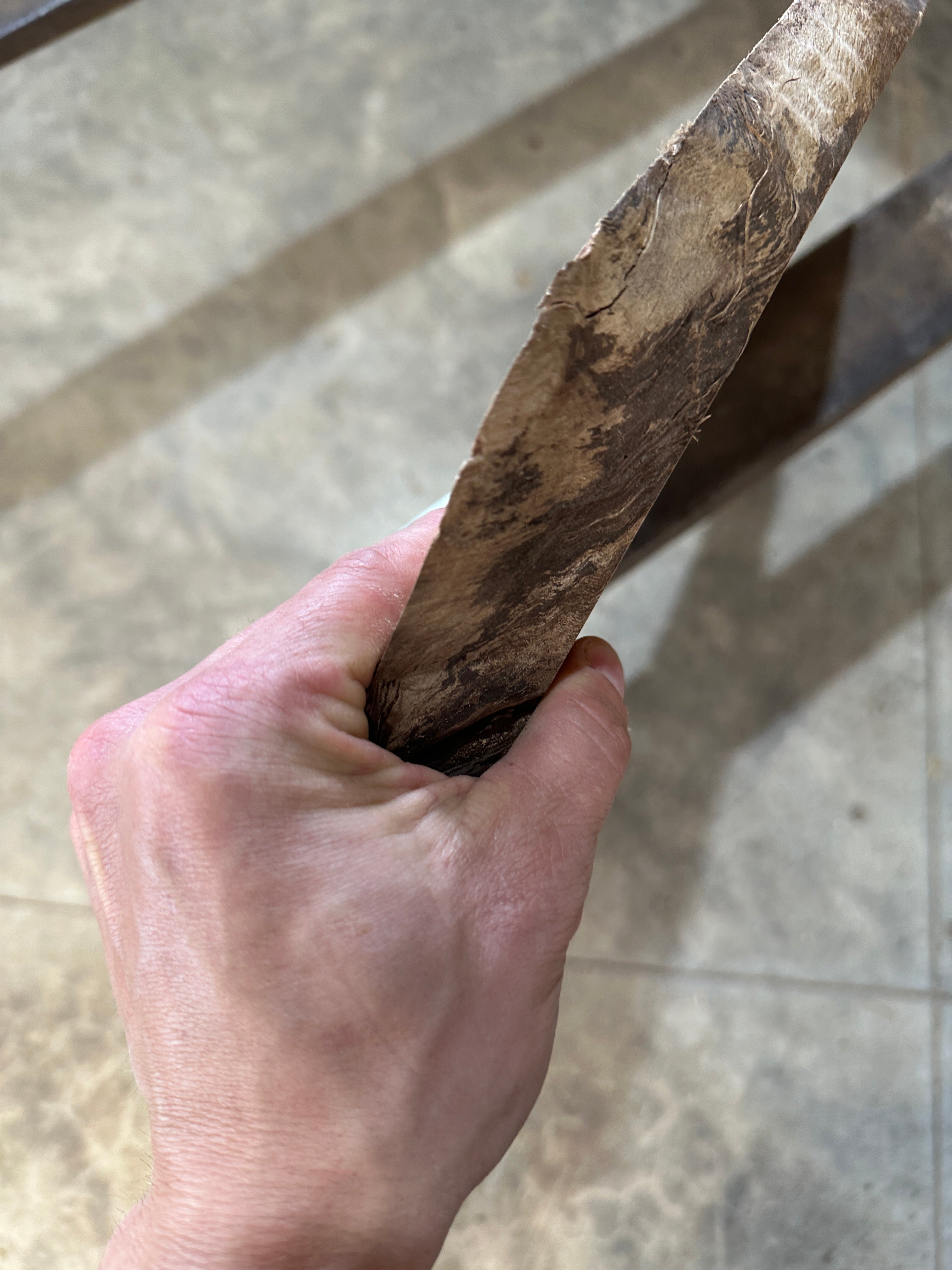 Black Walnut Slab