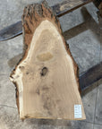 White Oak Slab