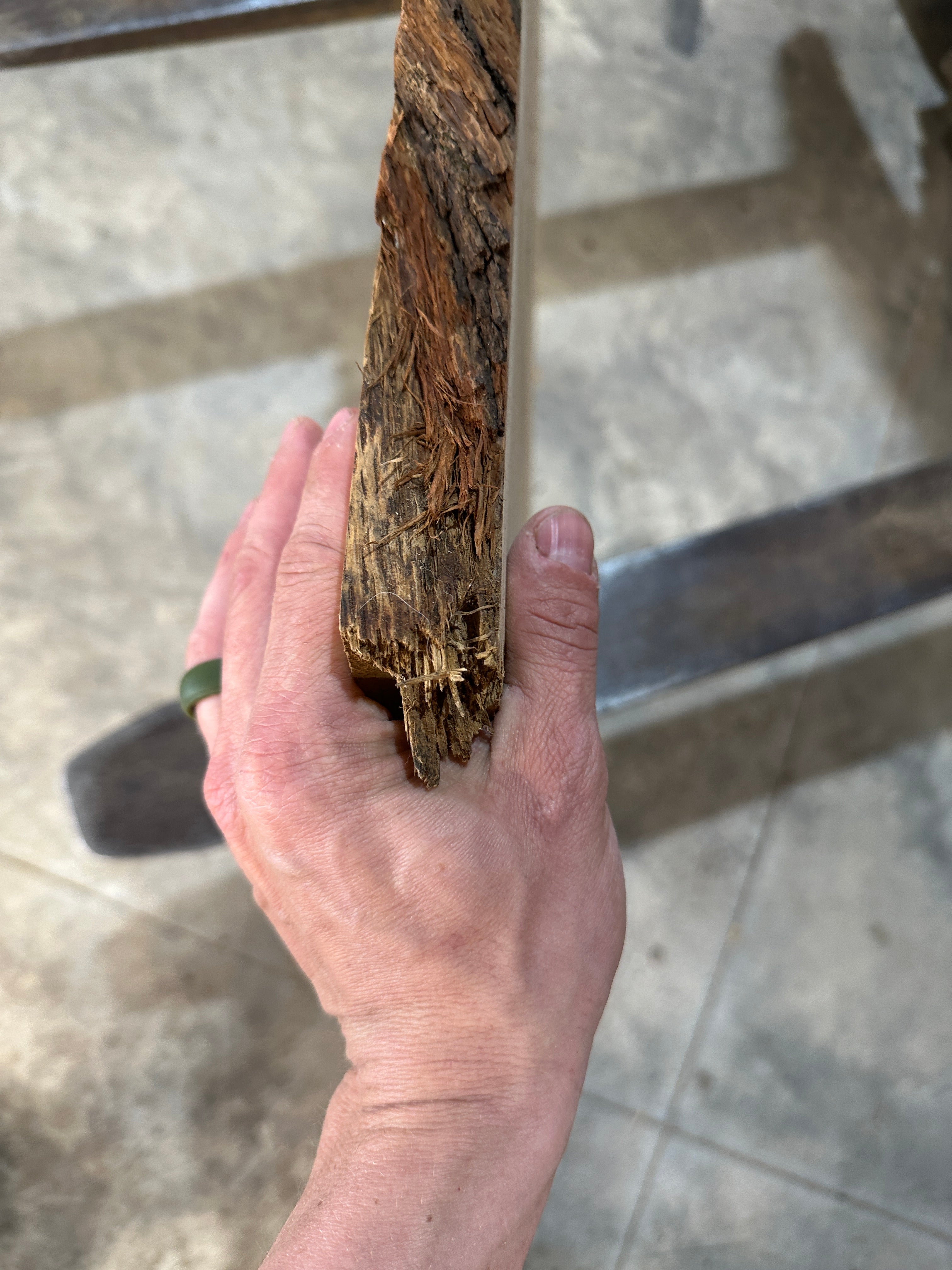 White Oak Slab