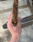 White Oak Slab