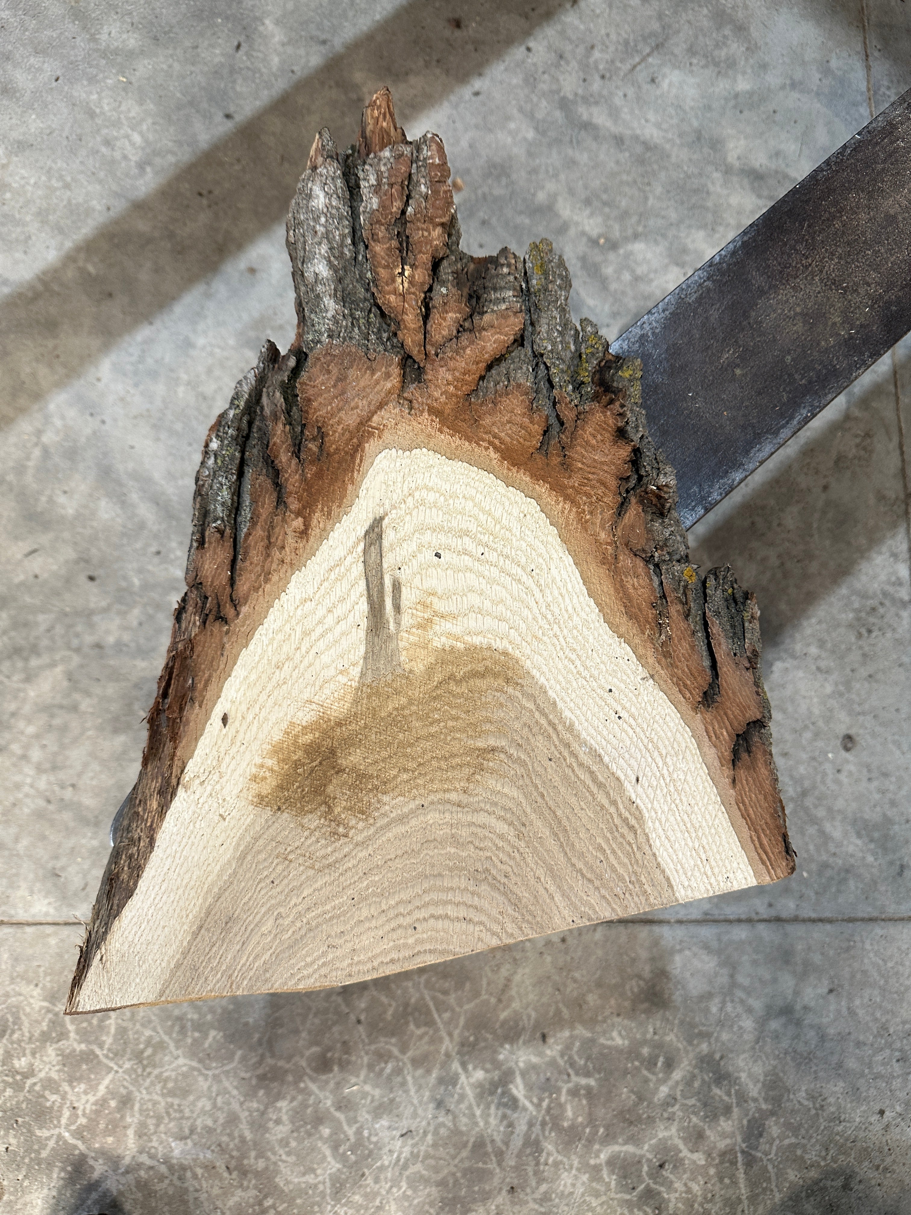 White Oak Slab