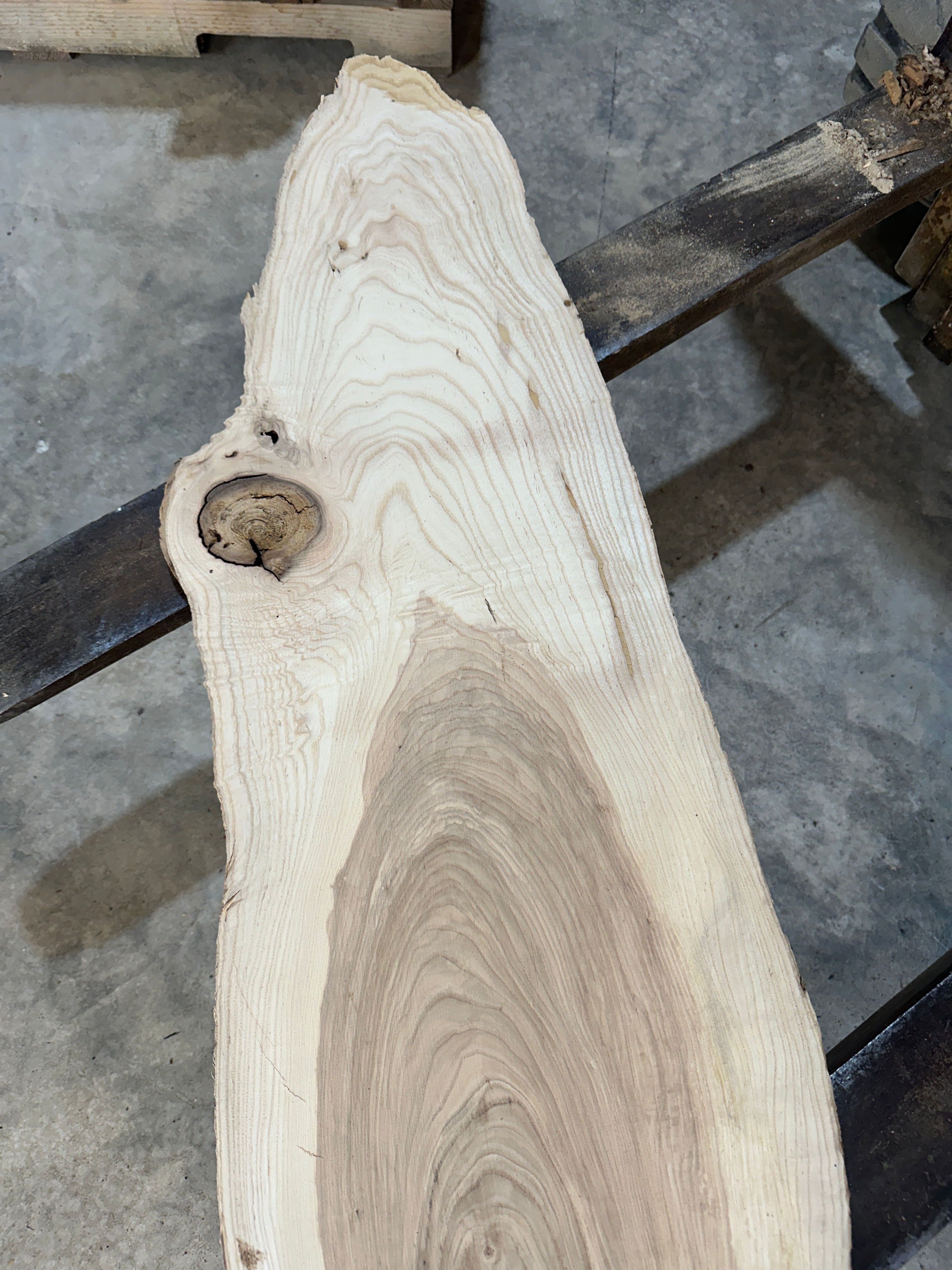 White Ash slab