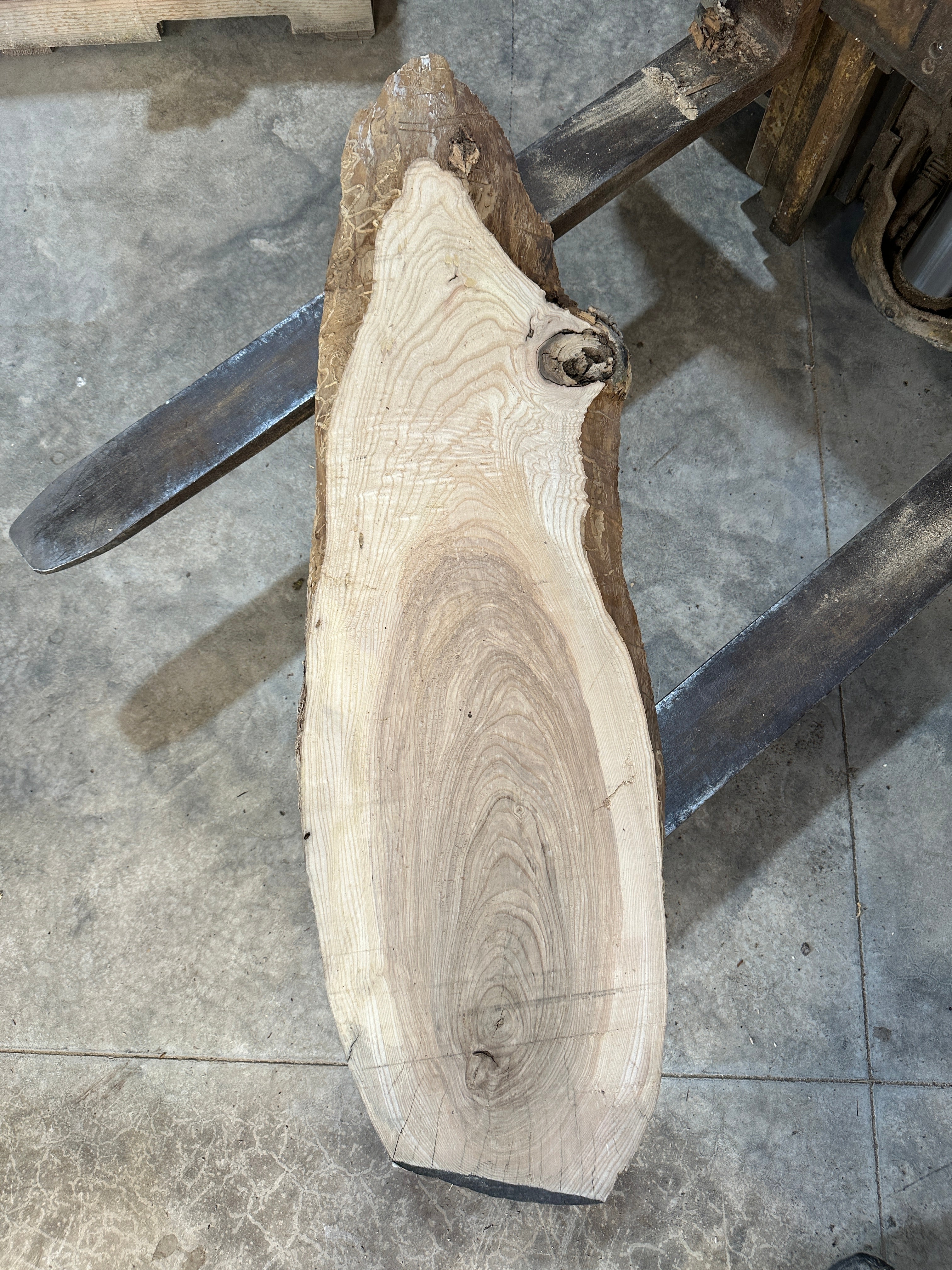 White Ash slab