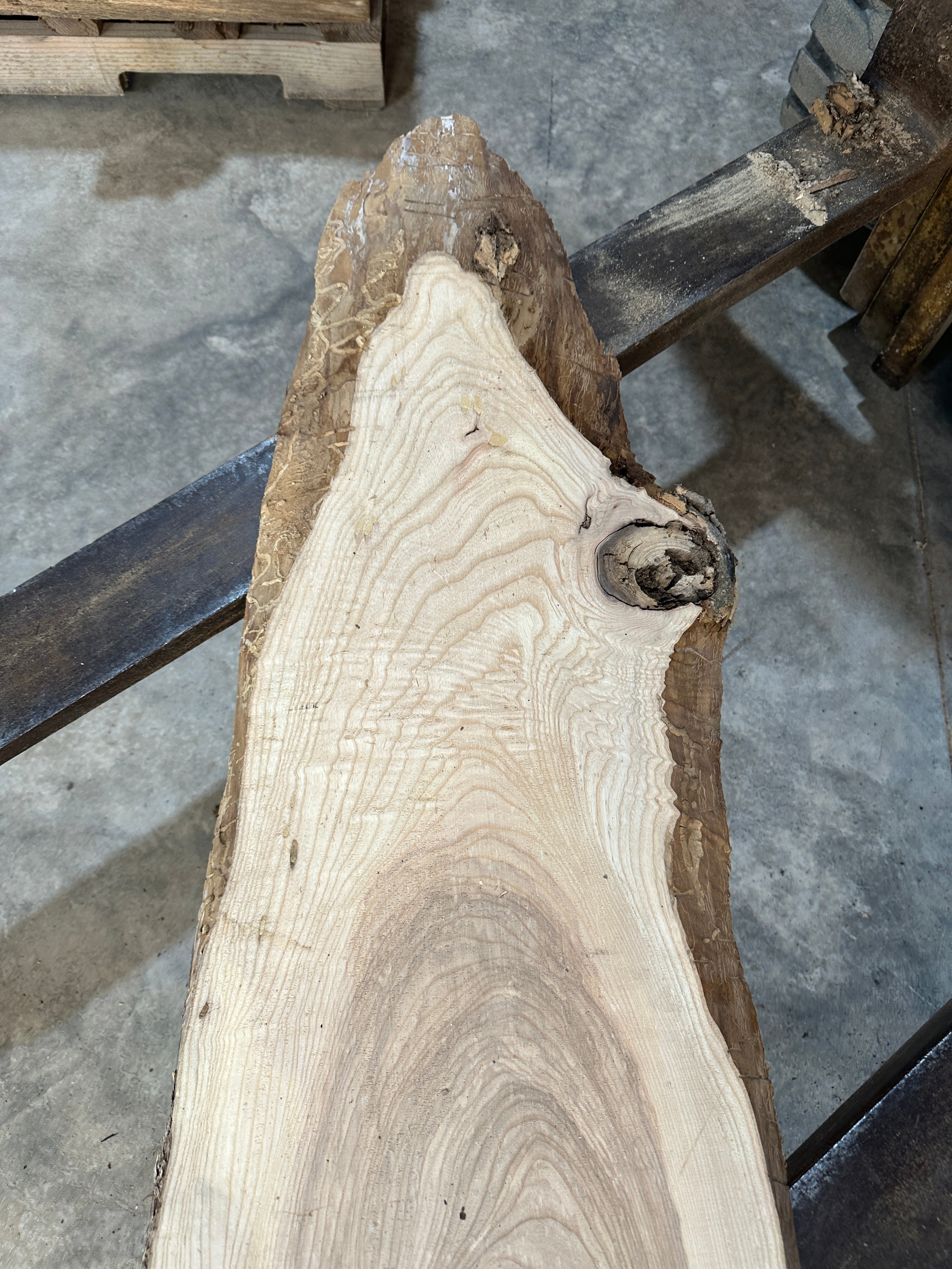 White Ash slab