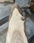 White Ash slab