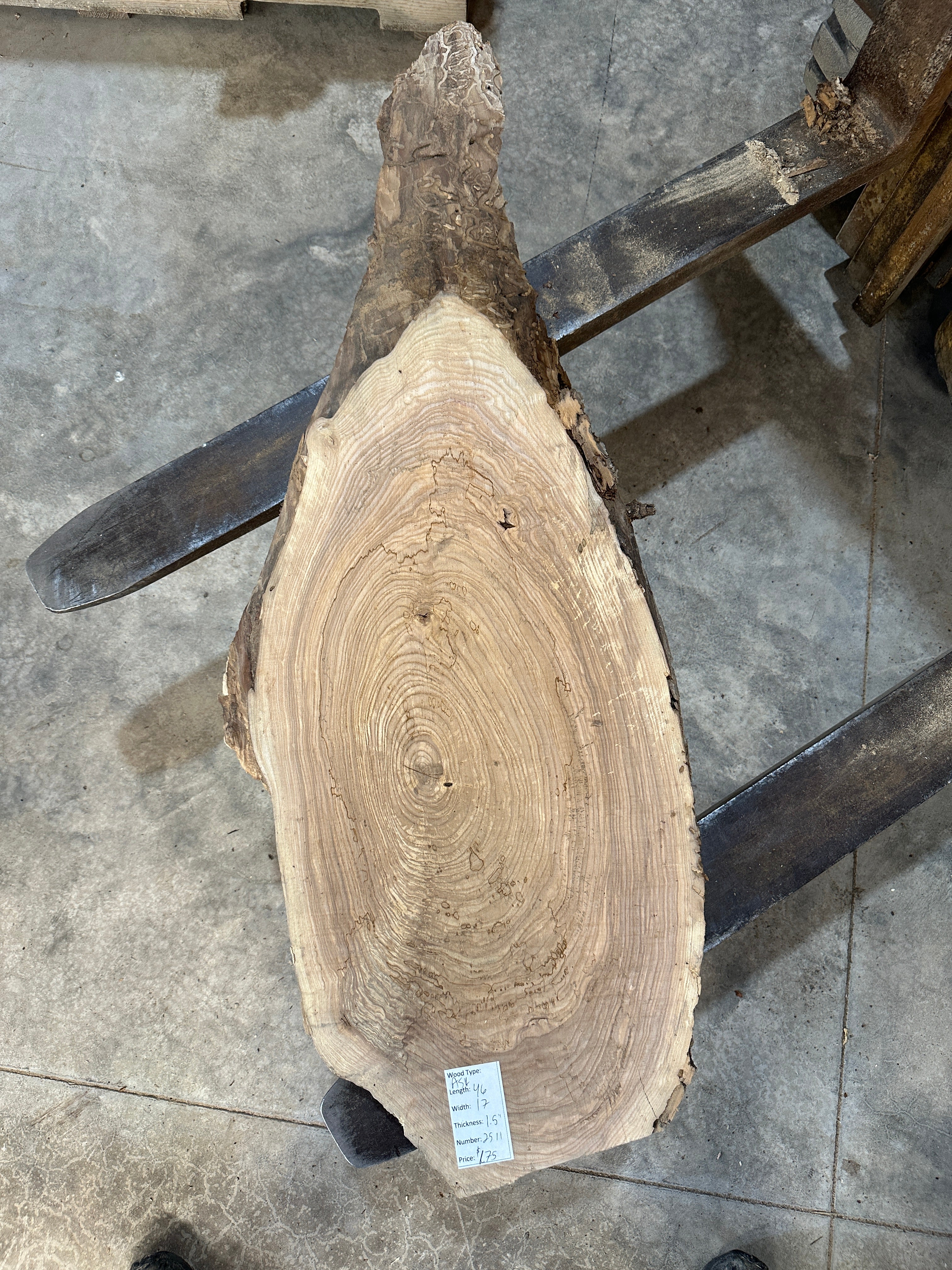 White Ash slab