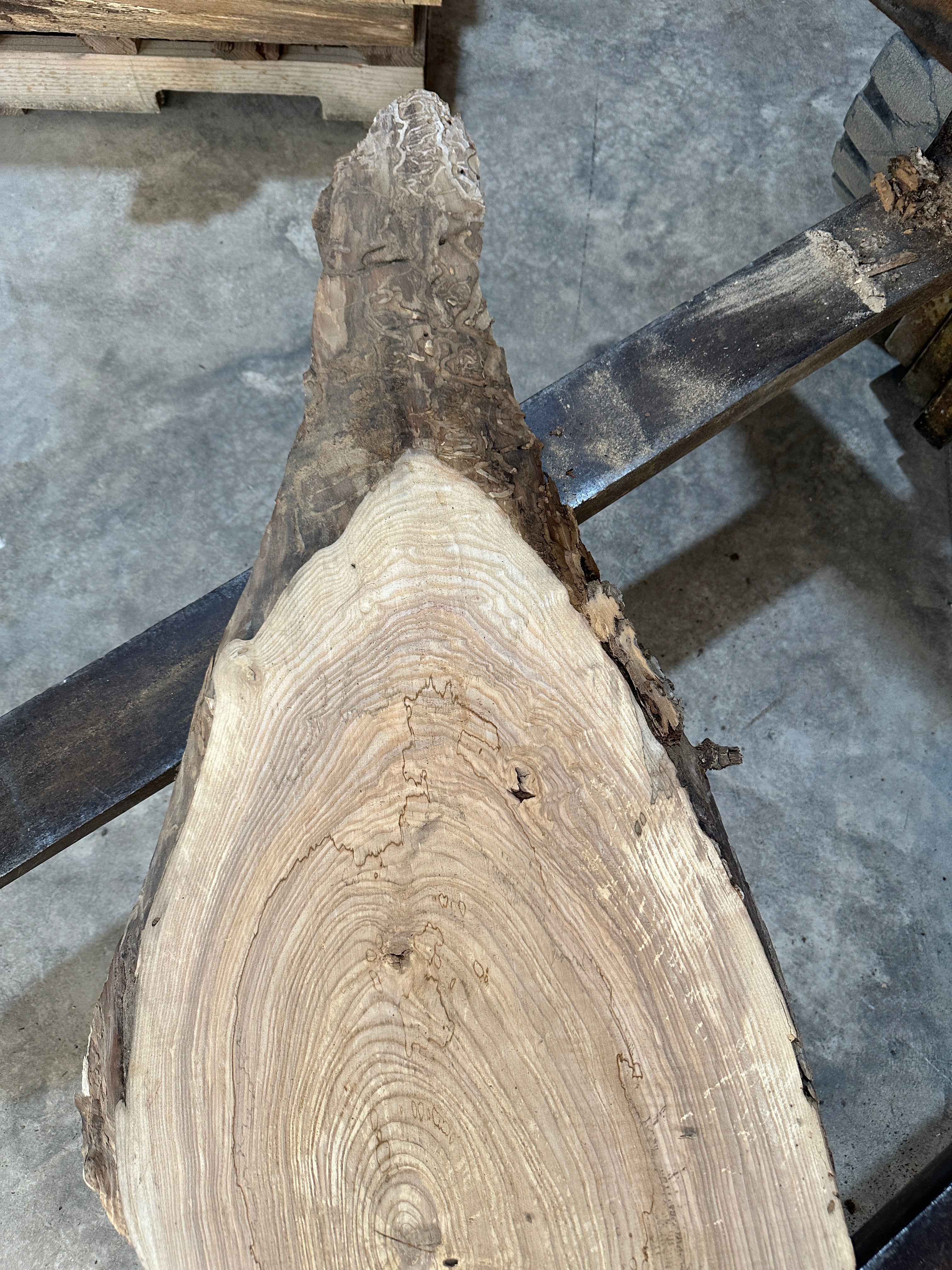 White Ash slab
