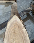 White Ash slab