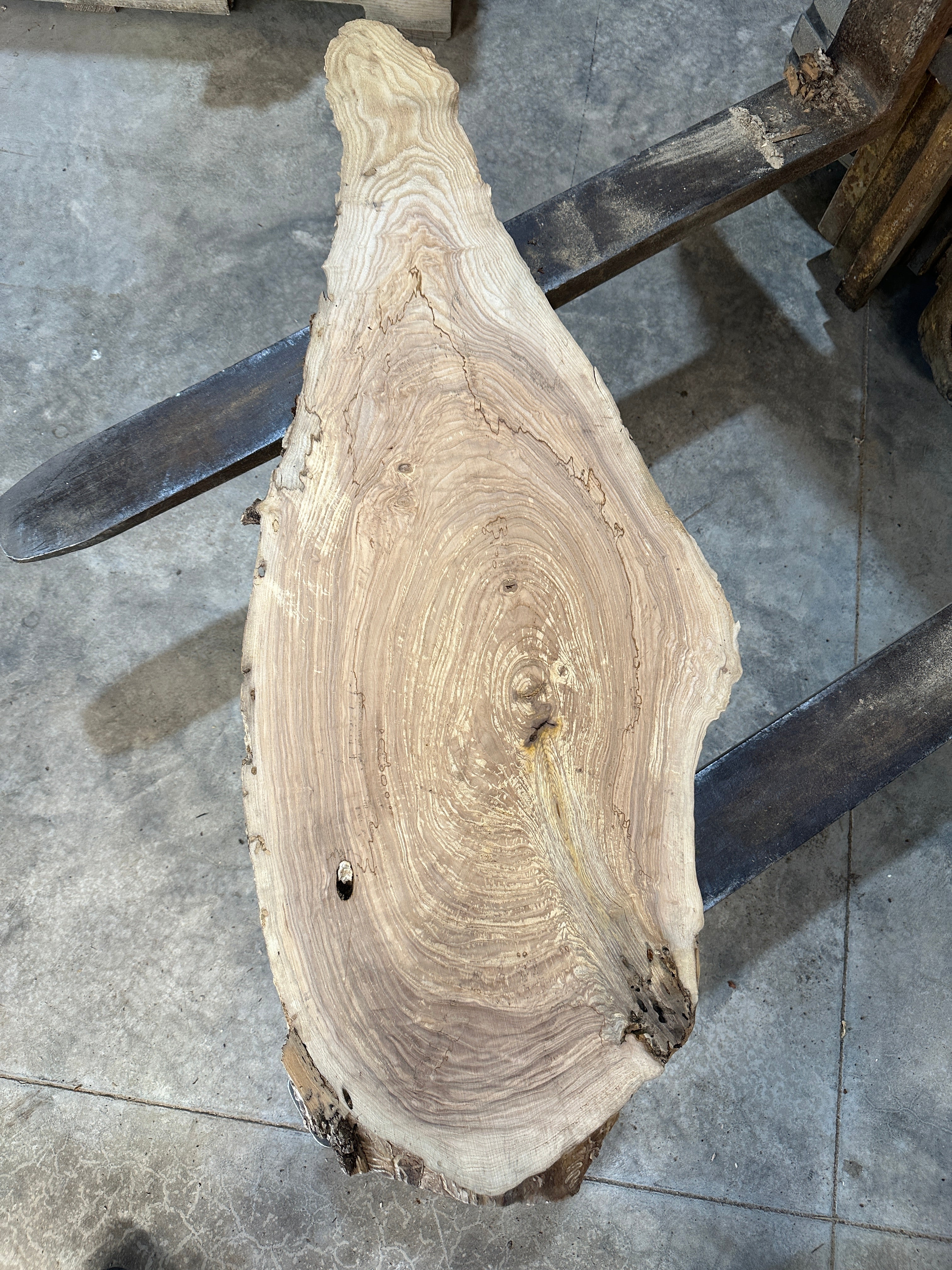 White Ash slab
