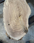 White Ash slab