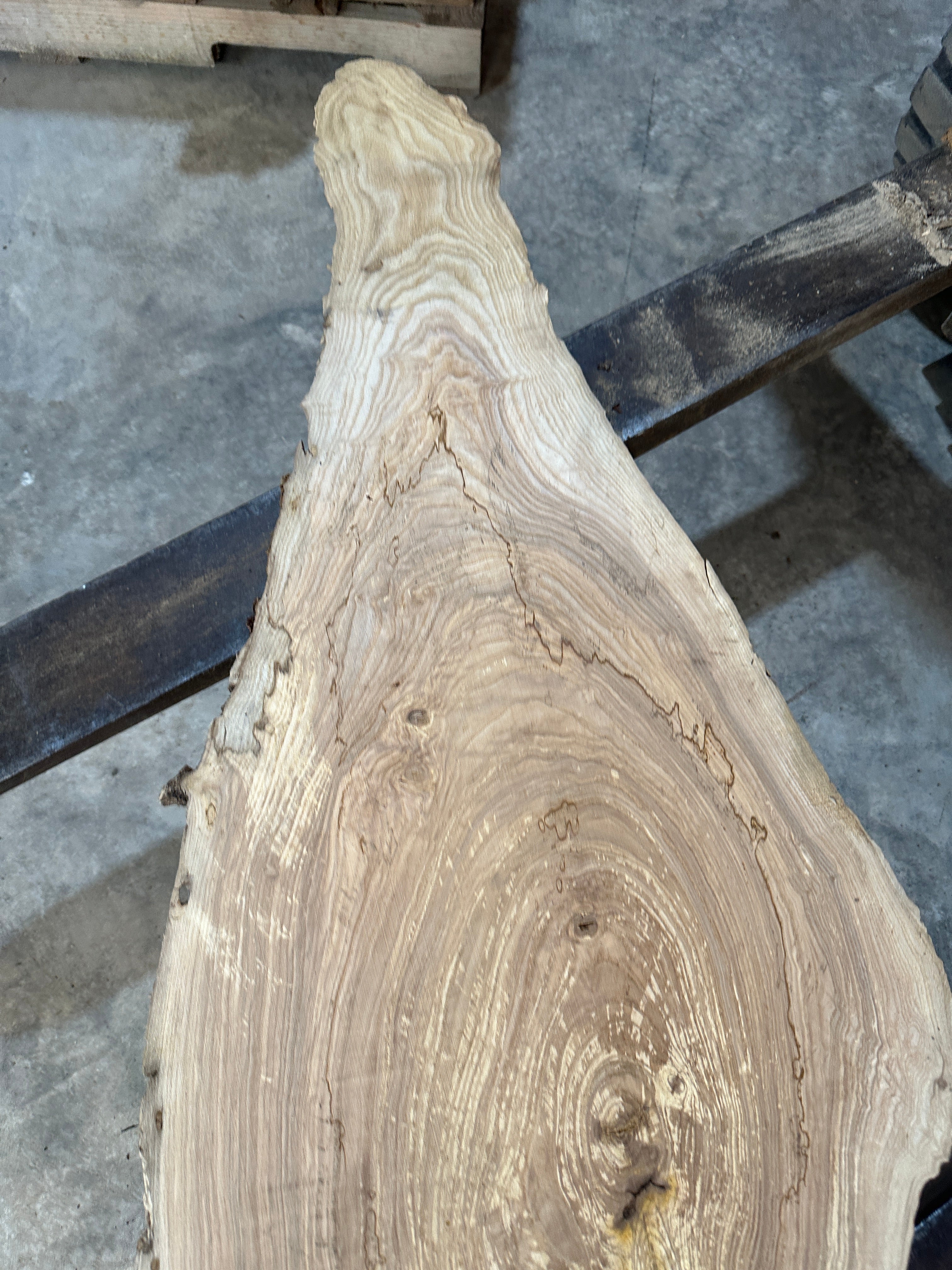 White Ash slab