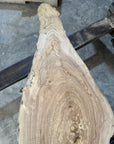White Ash slab