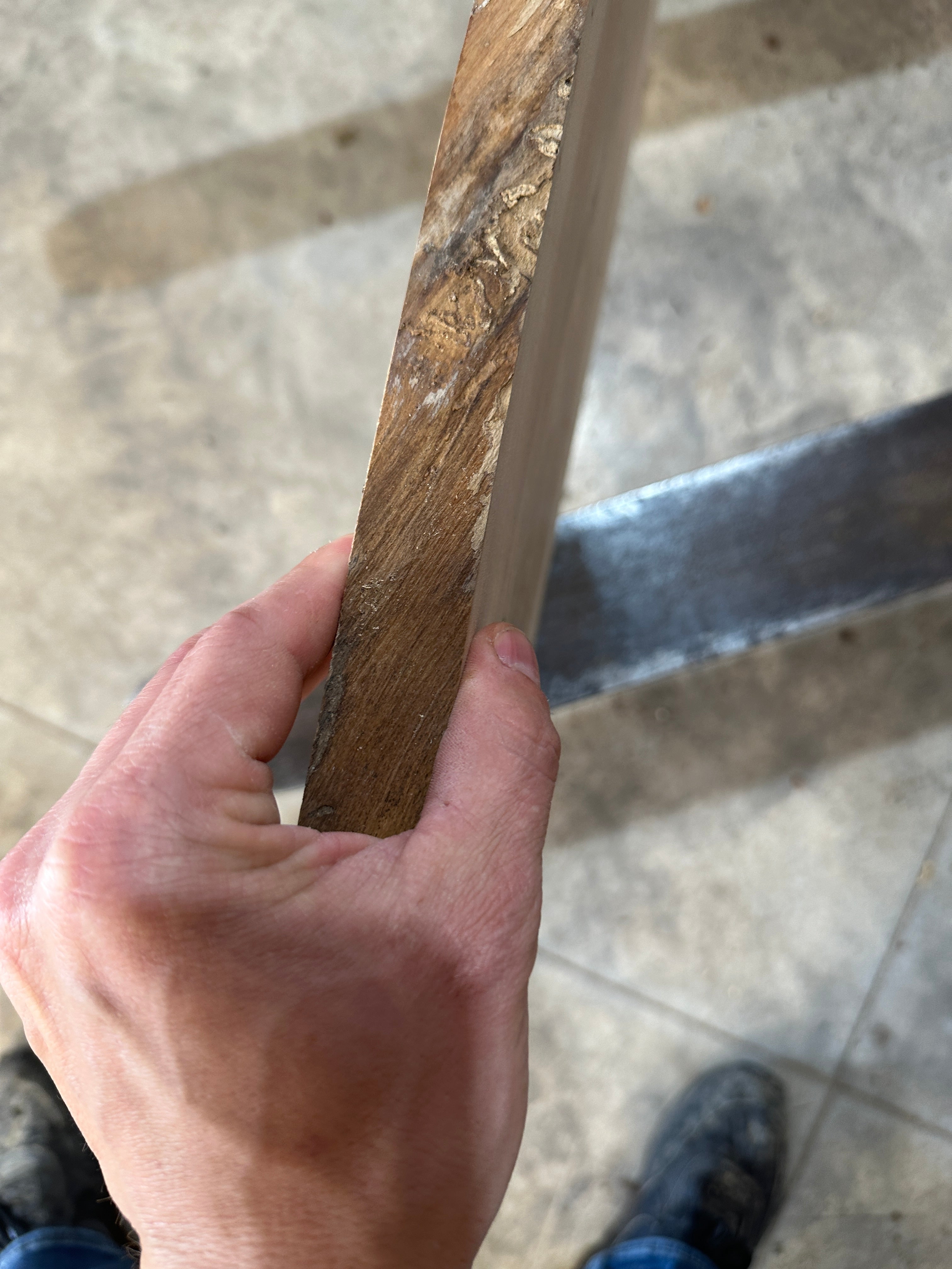 White Ash slab