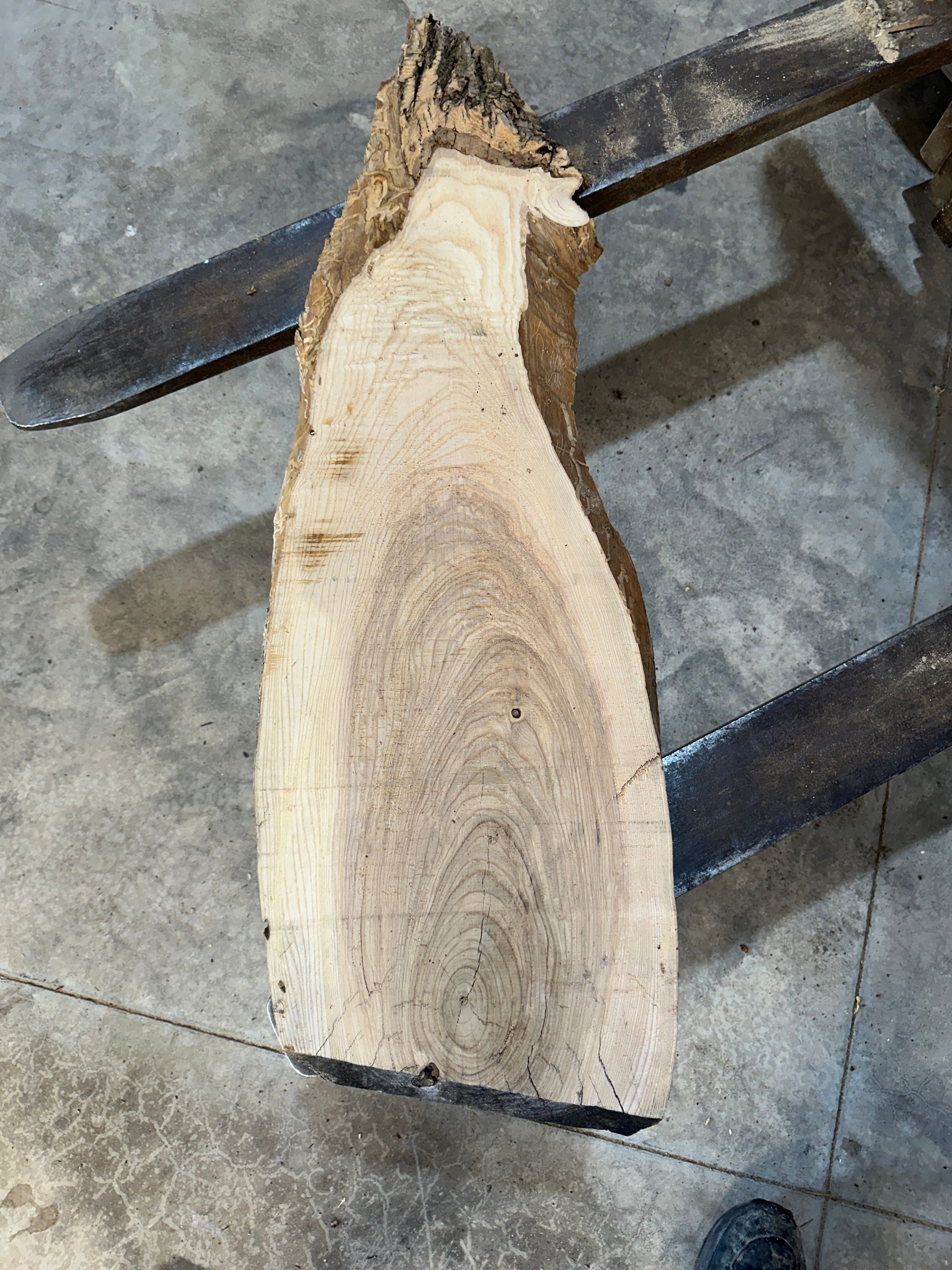 White Ash slab