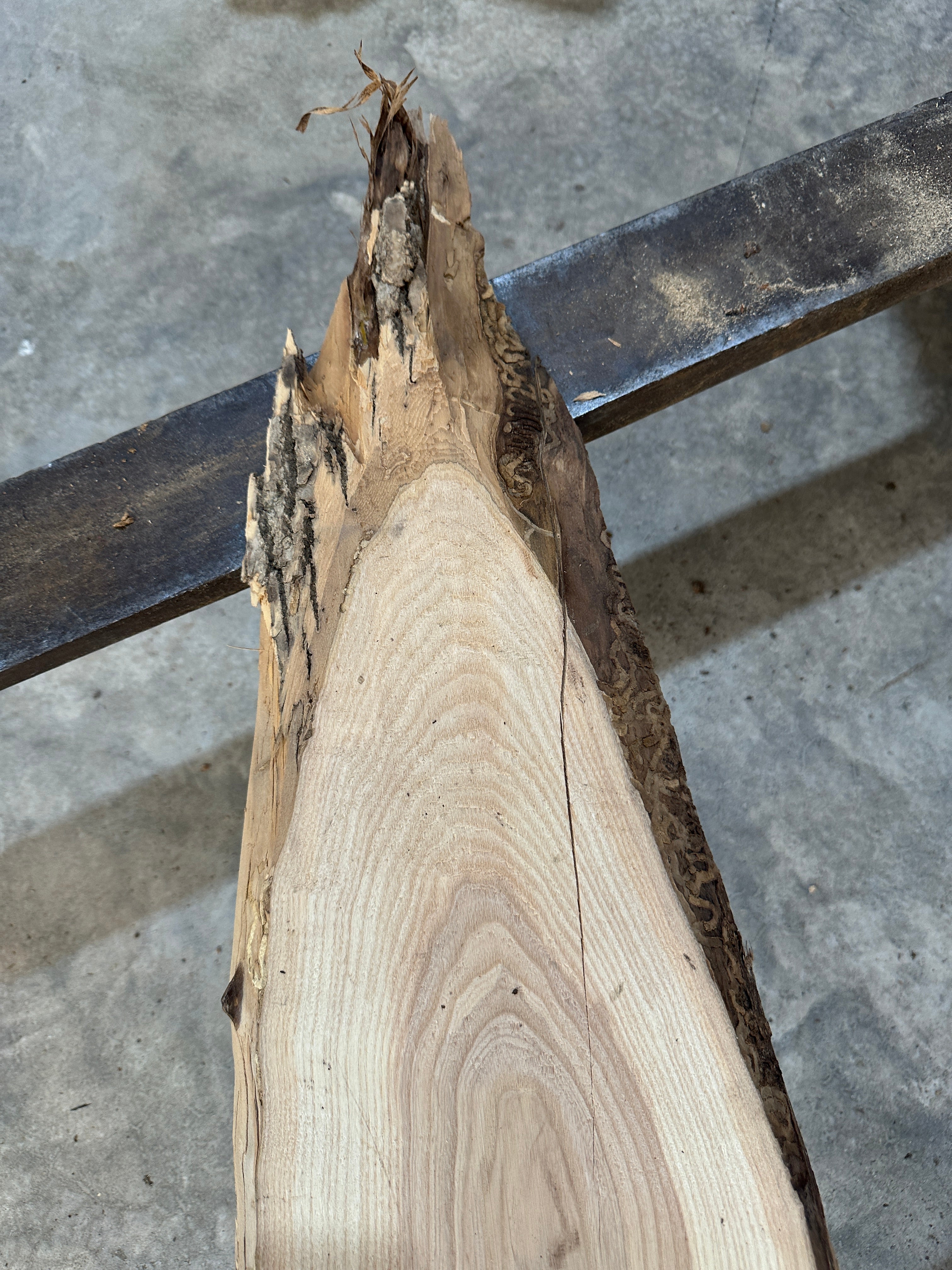 White Ash slab