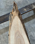 White Ash slab