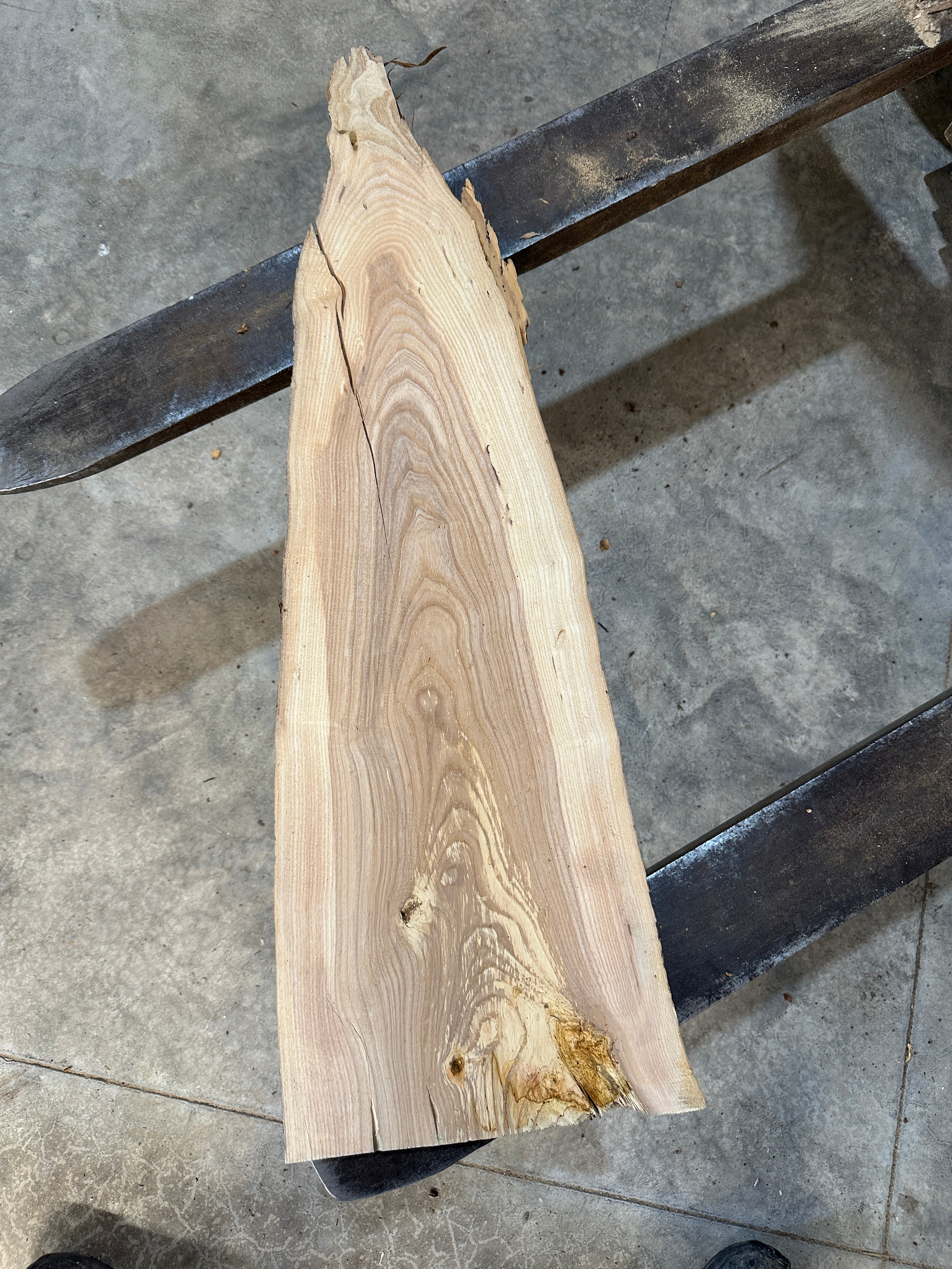 White Ash slab