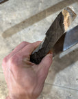 White Ash slab
