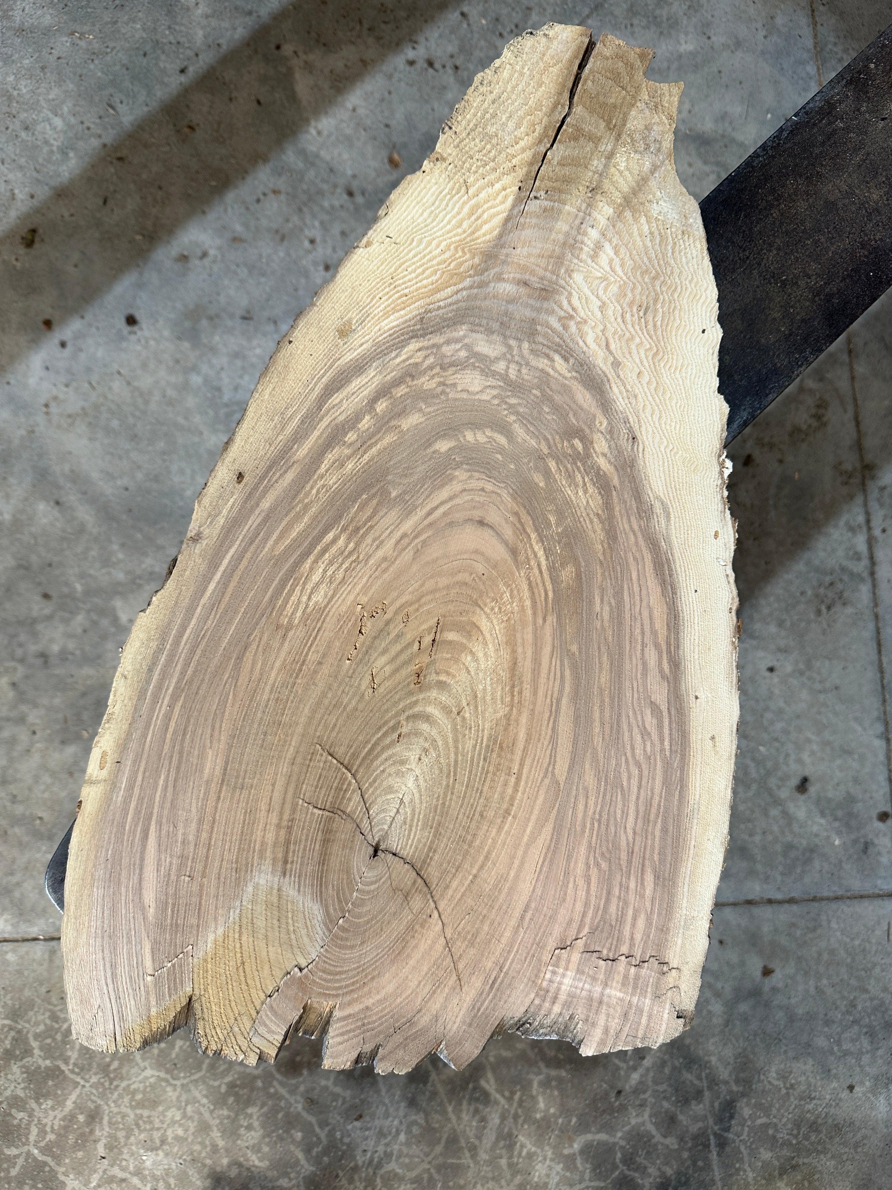 White Ash slab