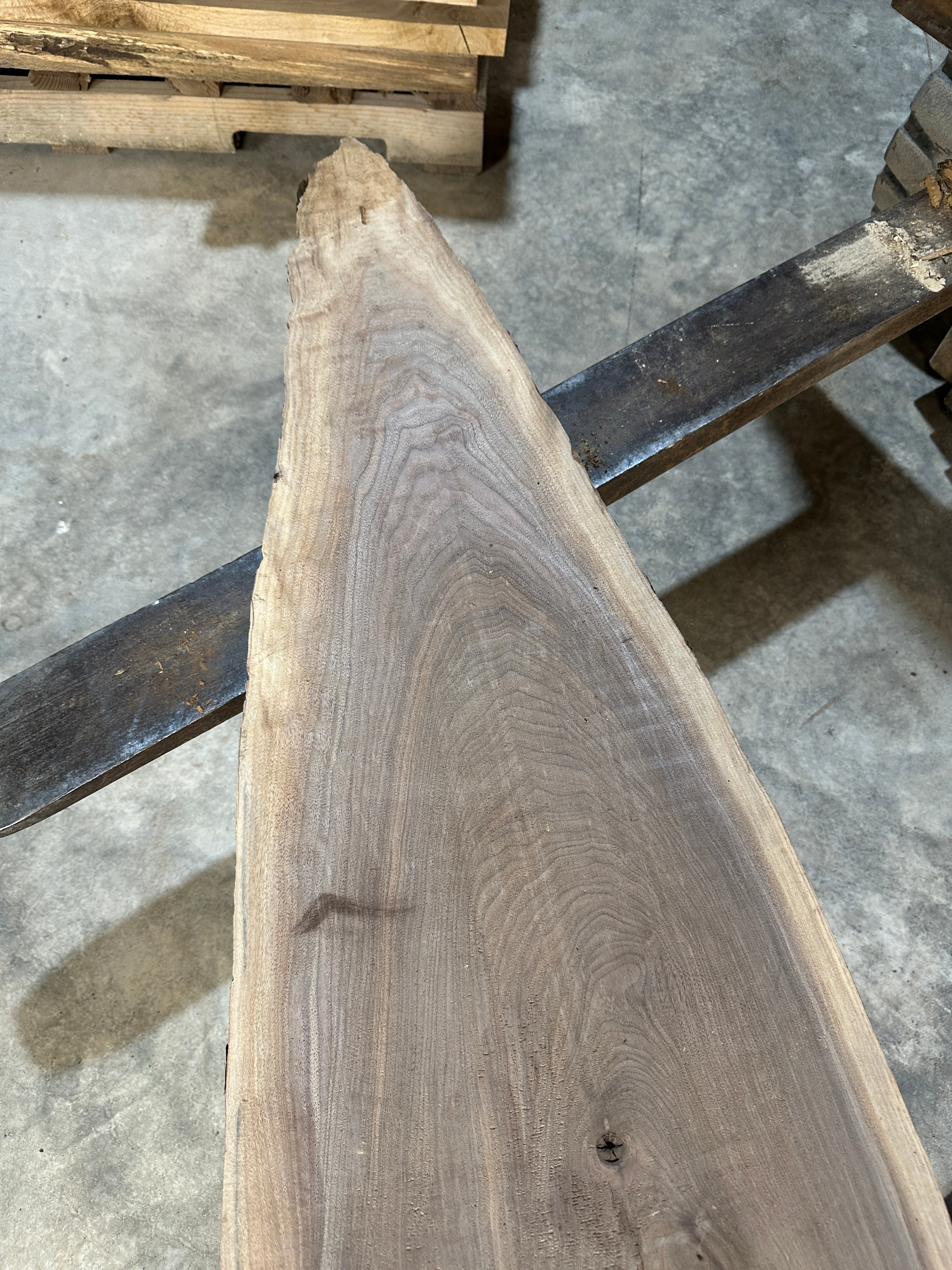 Black Walnut Slab
