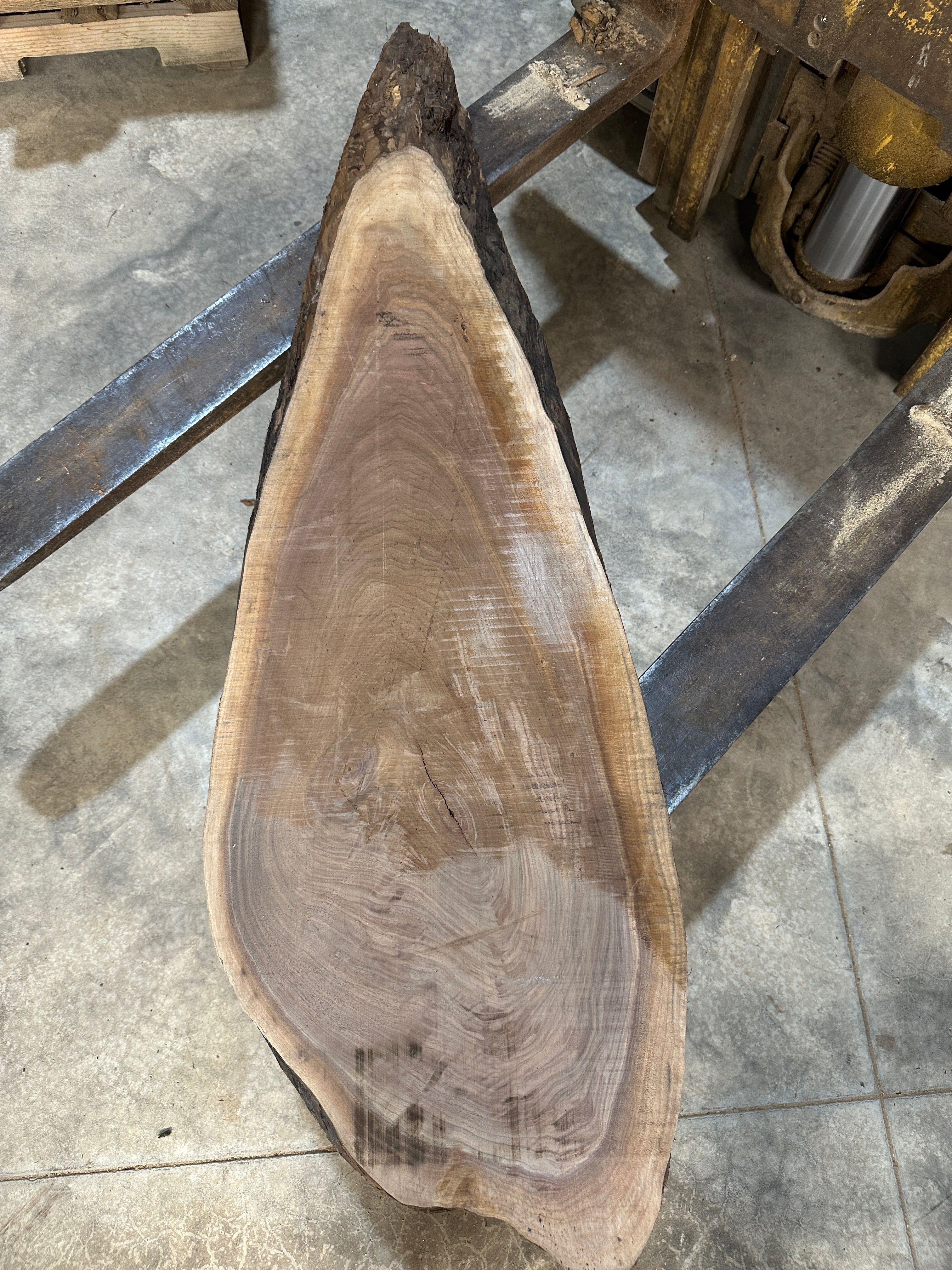 Black Walnut Slab