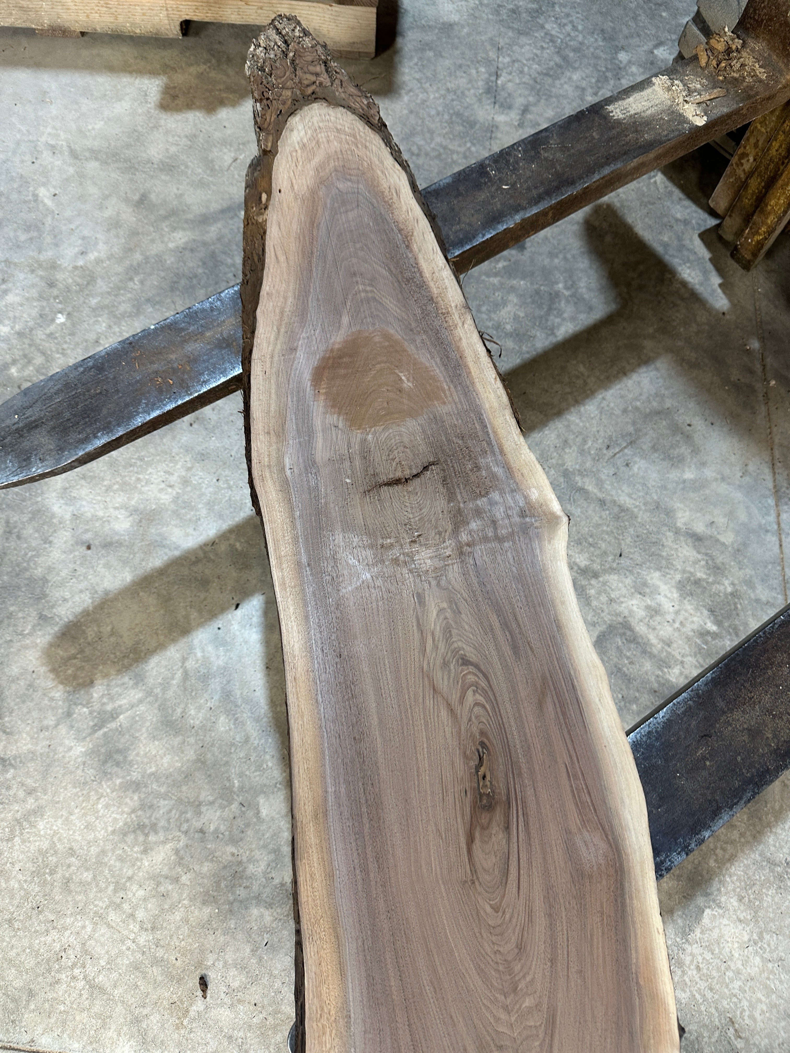 Black Walnut Slab