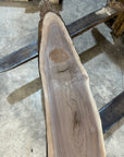Black Walnut Slab
