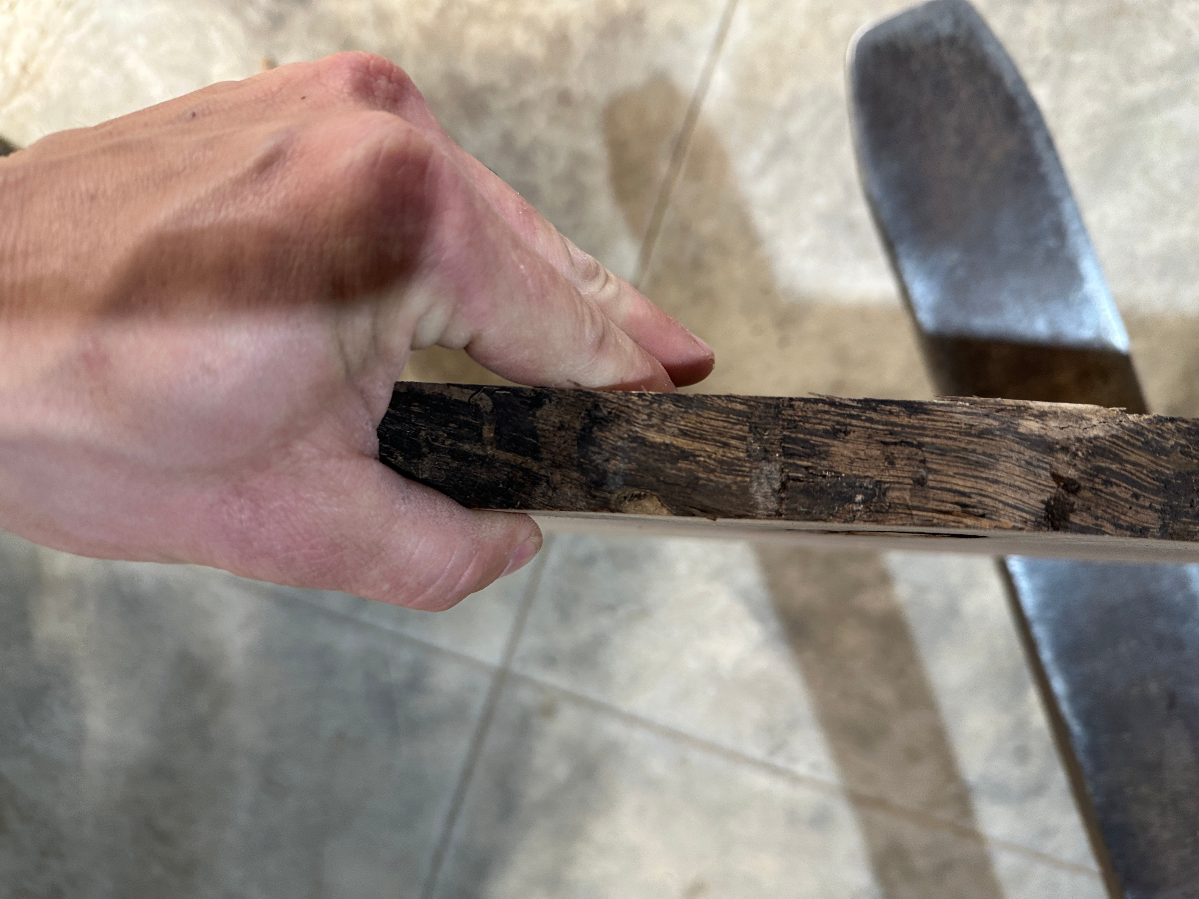Black Walnut Slab