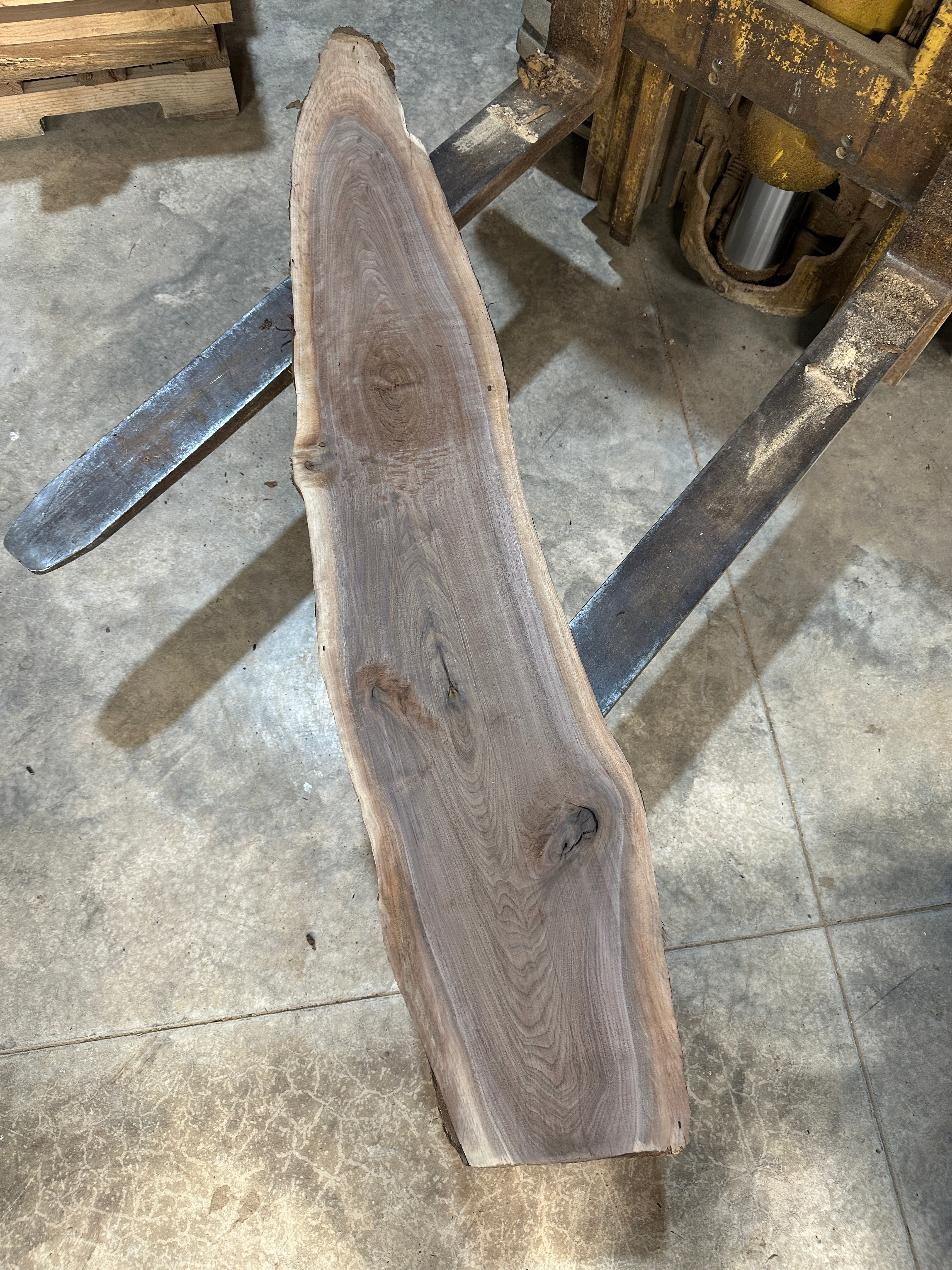 Black Walnut Slab