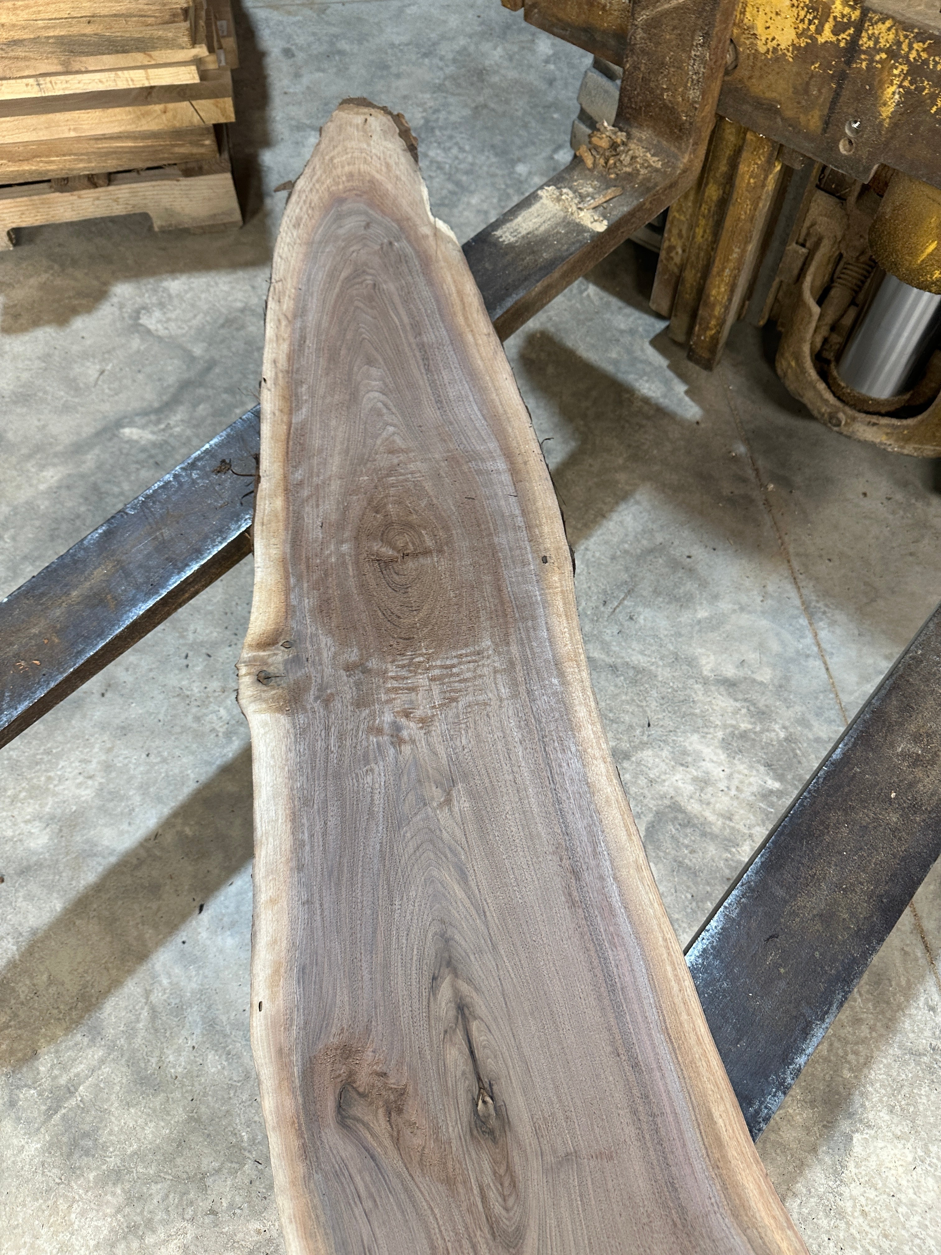 Black Walnut Slab